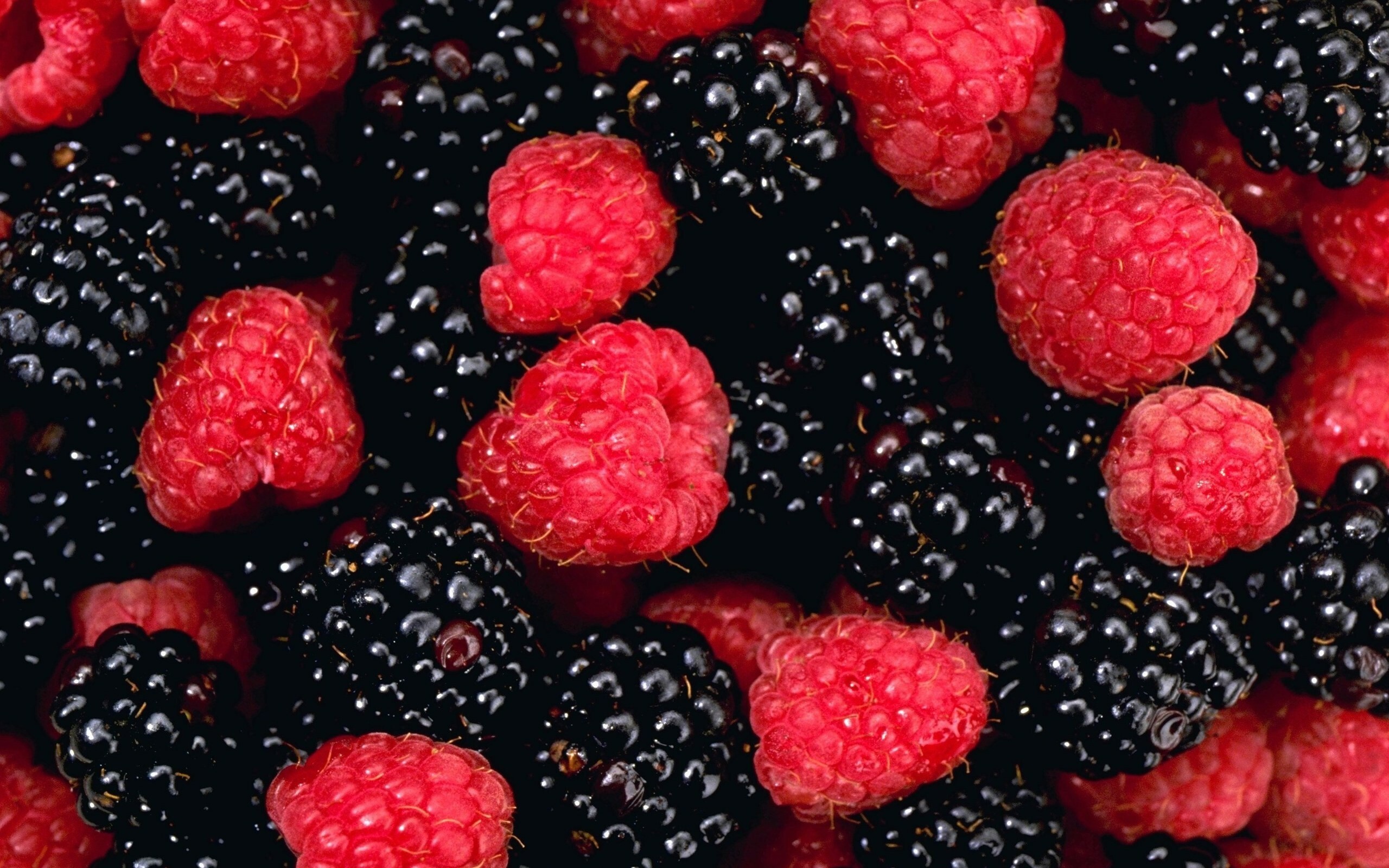 Fruit: Raspberries, Blackberries, Caneberries, which grow on long arching or trailing stems called canes. 2560x1600 HD Background.