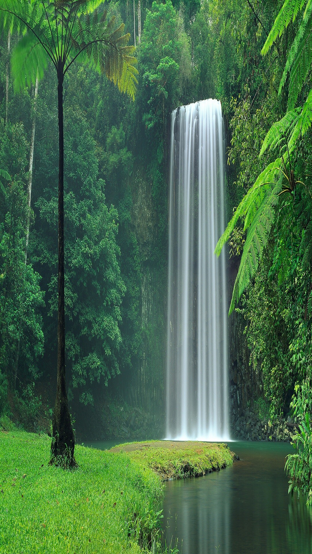 Waterfall: Millaa Millaa Falls, Theresa Creek Road, Queensland, Australia. 1080x1920 Full HD Wallpaper.