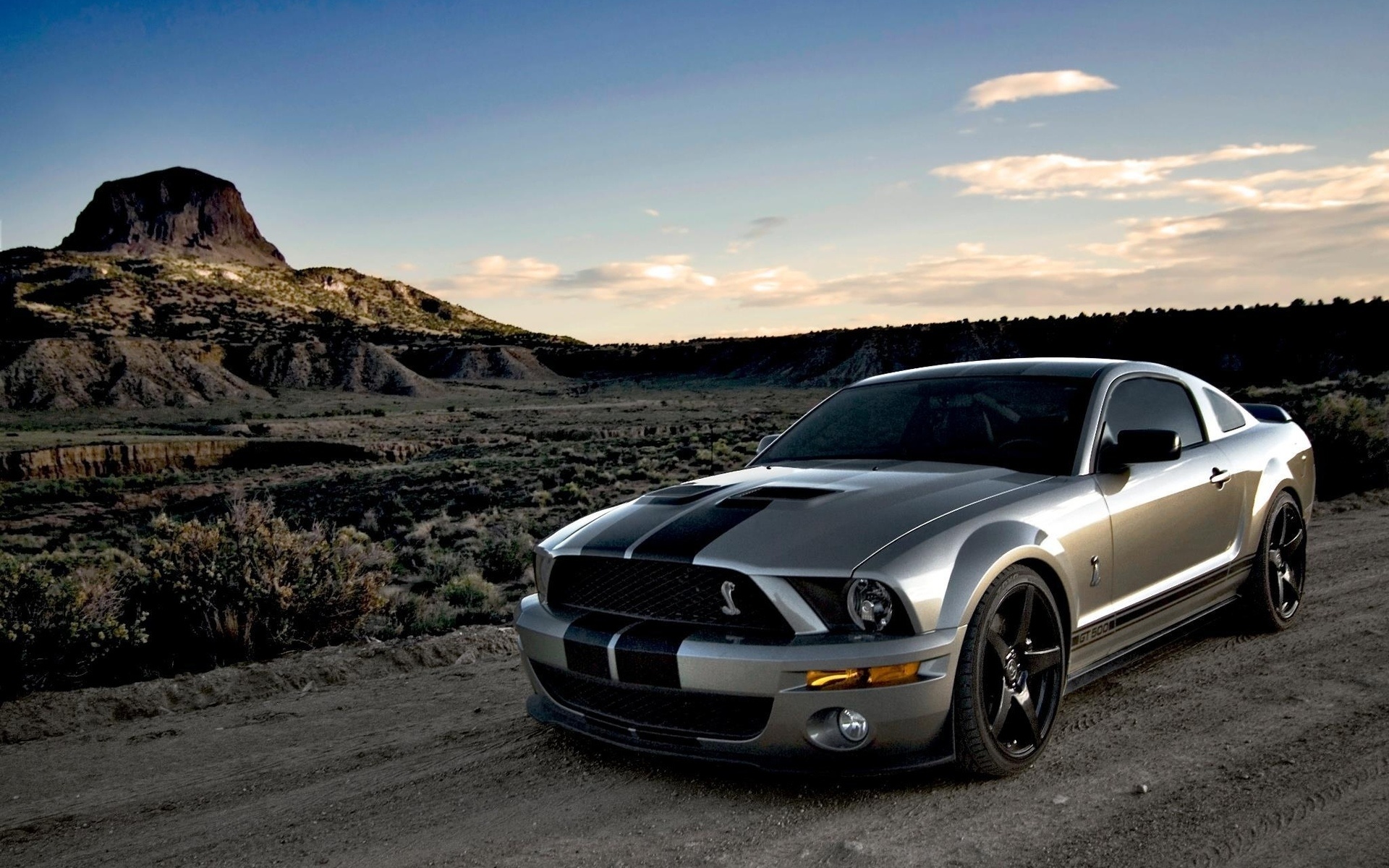 Ford Mustang HD, Automotive artistry, Driving inspiration, Engineering beauty, Road presence, 1920x1200 HD Desktop