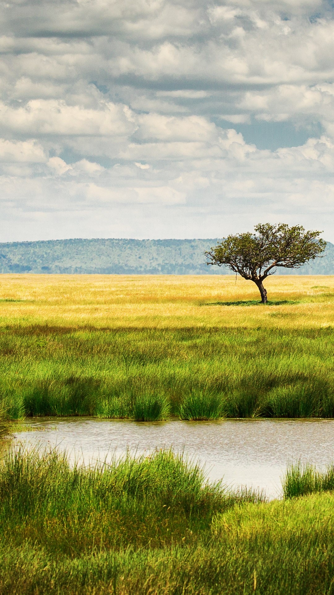 Serengeti National Park, Lake landscapes, Tanzania Windows spotlight, Tranquil scenery, 1080x1920 Full HD Phone