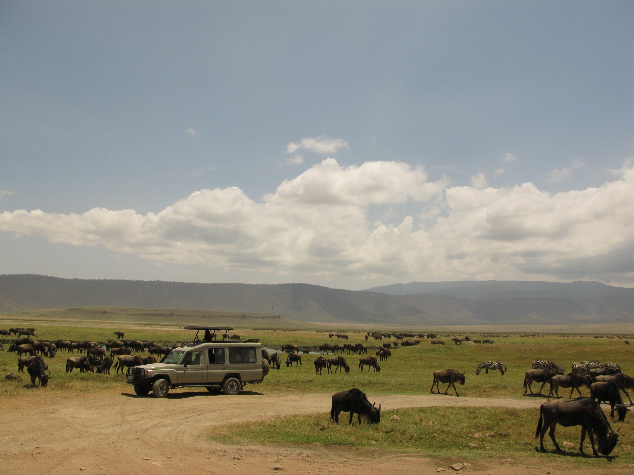 Ngorongoro Krater safaris, Safari365, 2560x1920 HD Desktop