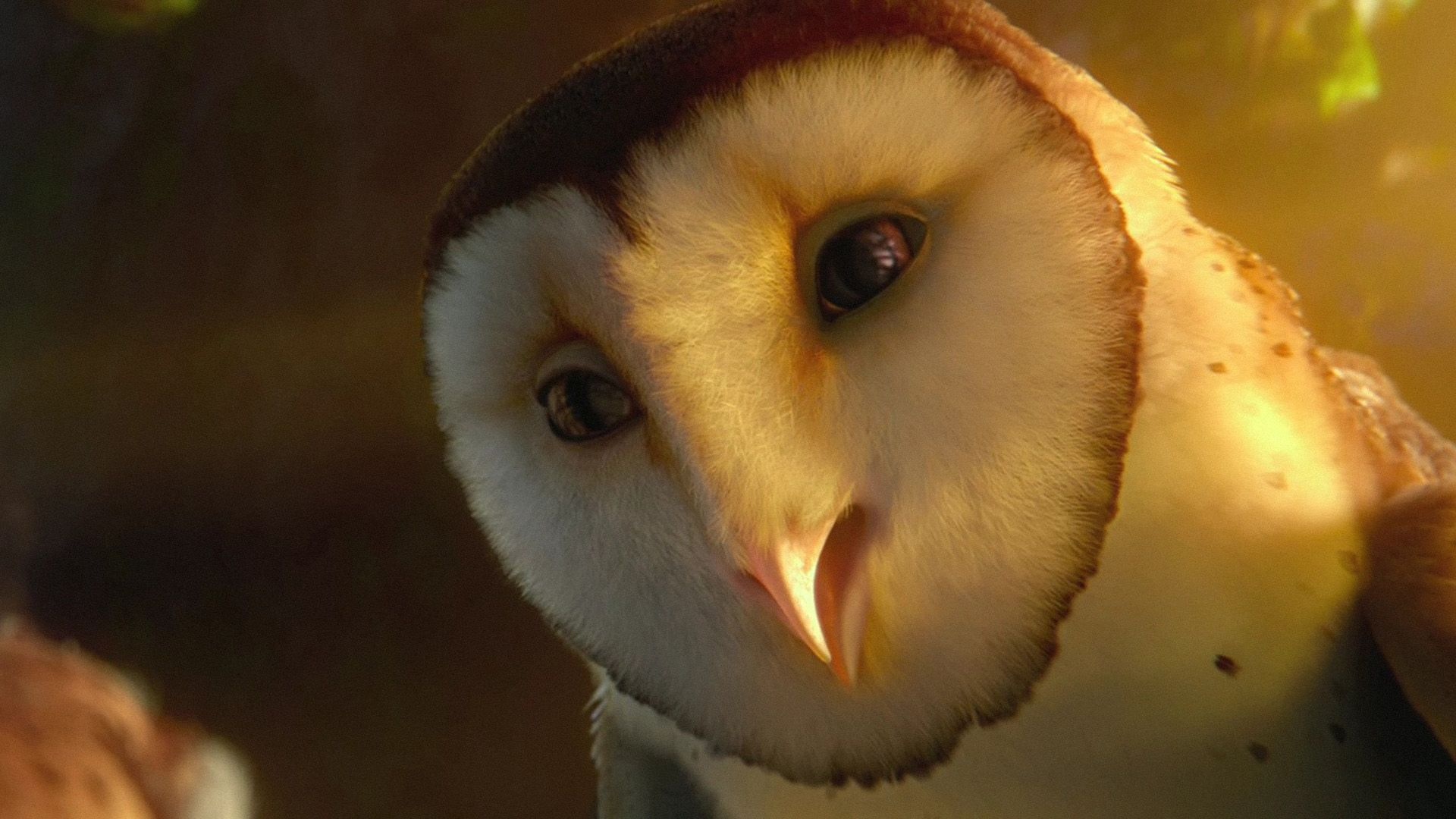 Legend of the Guardians: The Owls of Ga'Hoole, Mesmerizing wallpapers, Captivating movie, Majestic owls, 1920x1080 Full HD Desktop