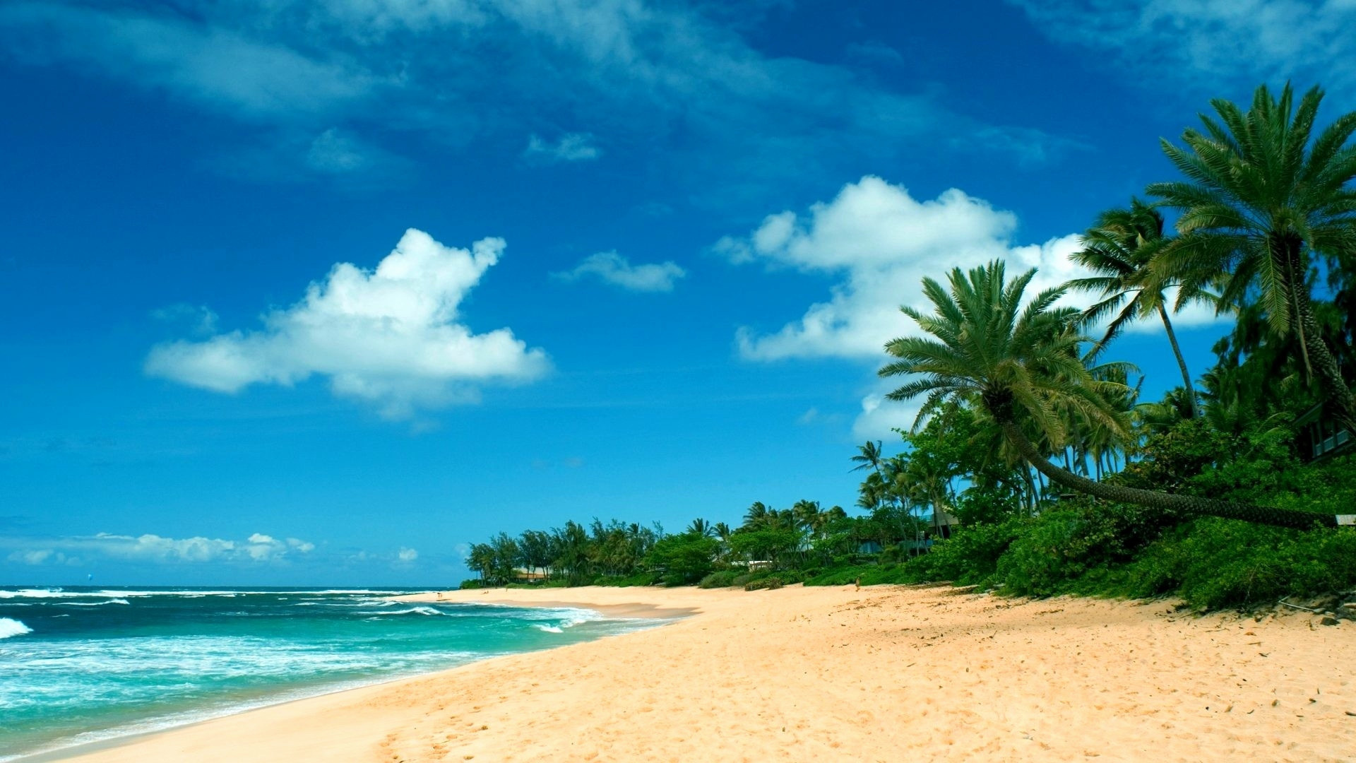 Hawaii beach wallpaper, Tropical paradise, Oceanic splendor, Sandy shores, 1920x1080 Full HD Desktop