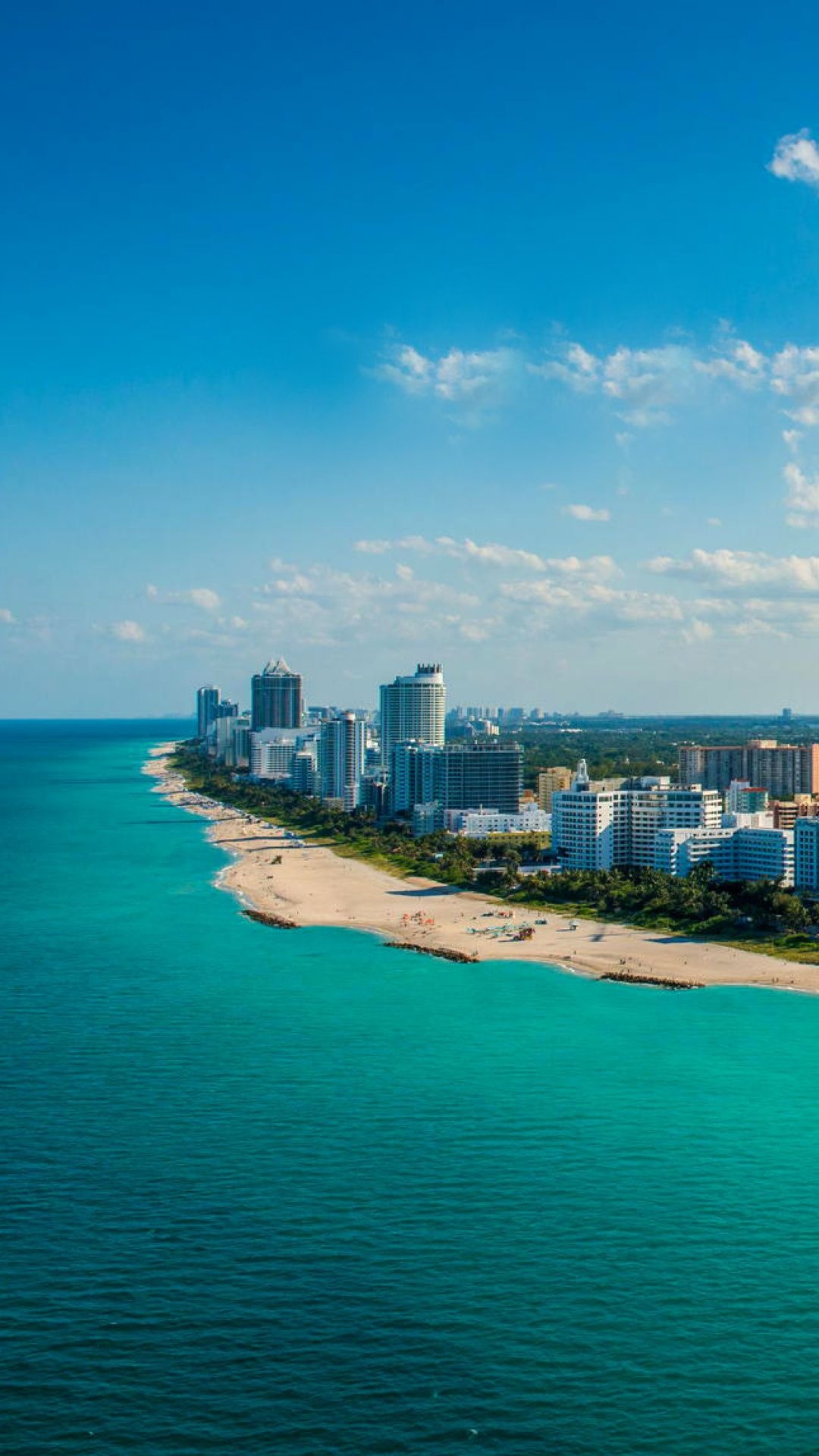 Miami Beach Skyline, South Beach scenery, Tropical landscapes, Palm trees, 1080x1920 Full HD Phone