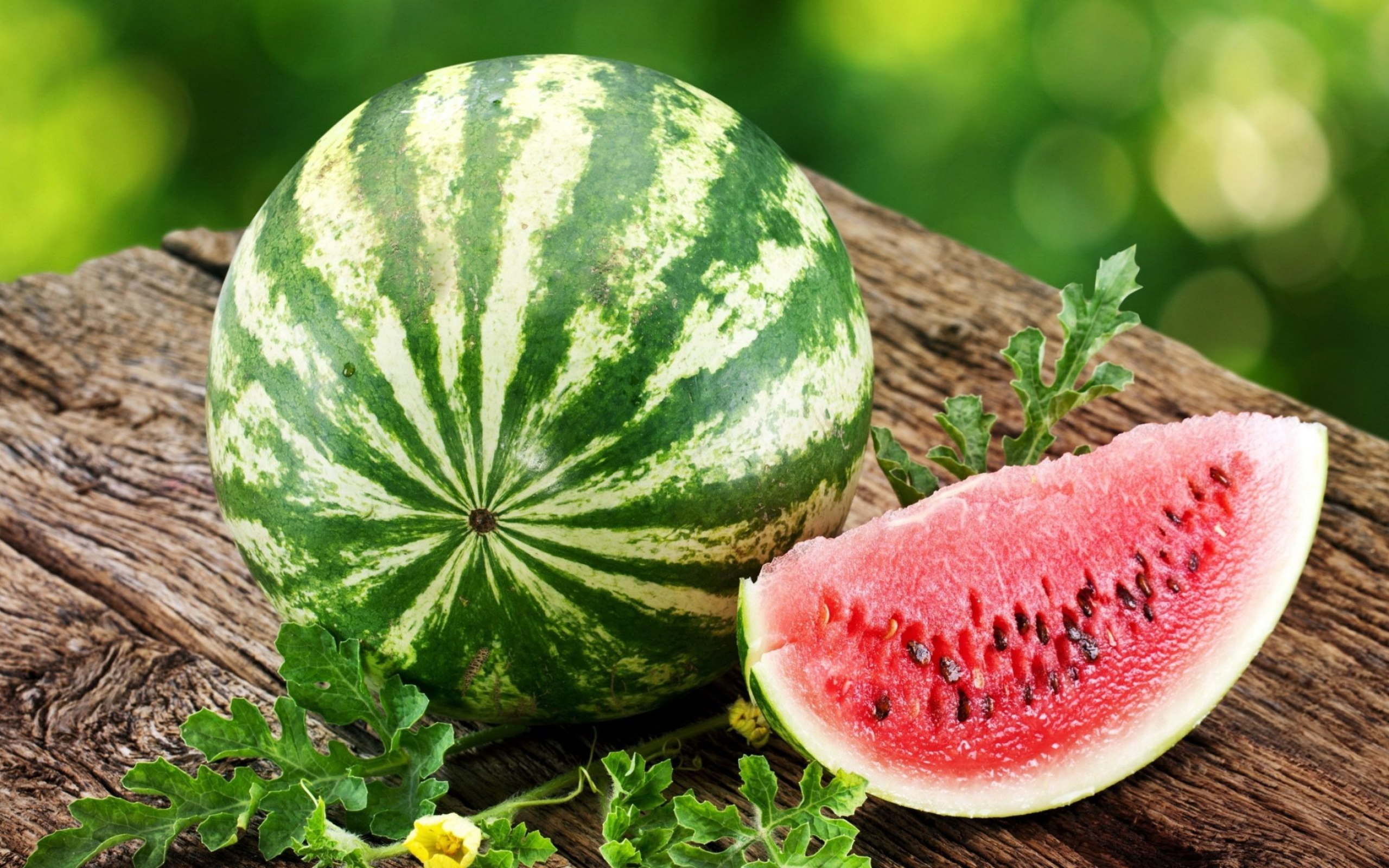 Watermelon: A scrambling and trailing vine-like plant. 2560x1600 HD Background.