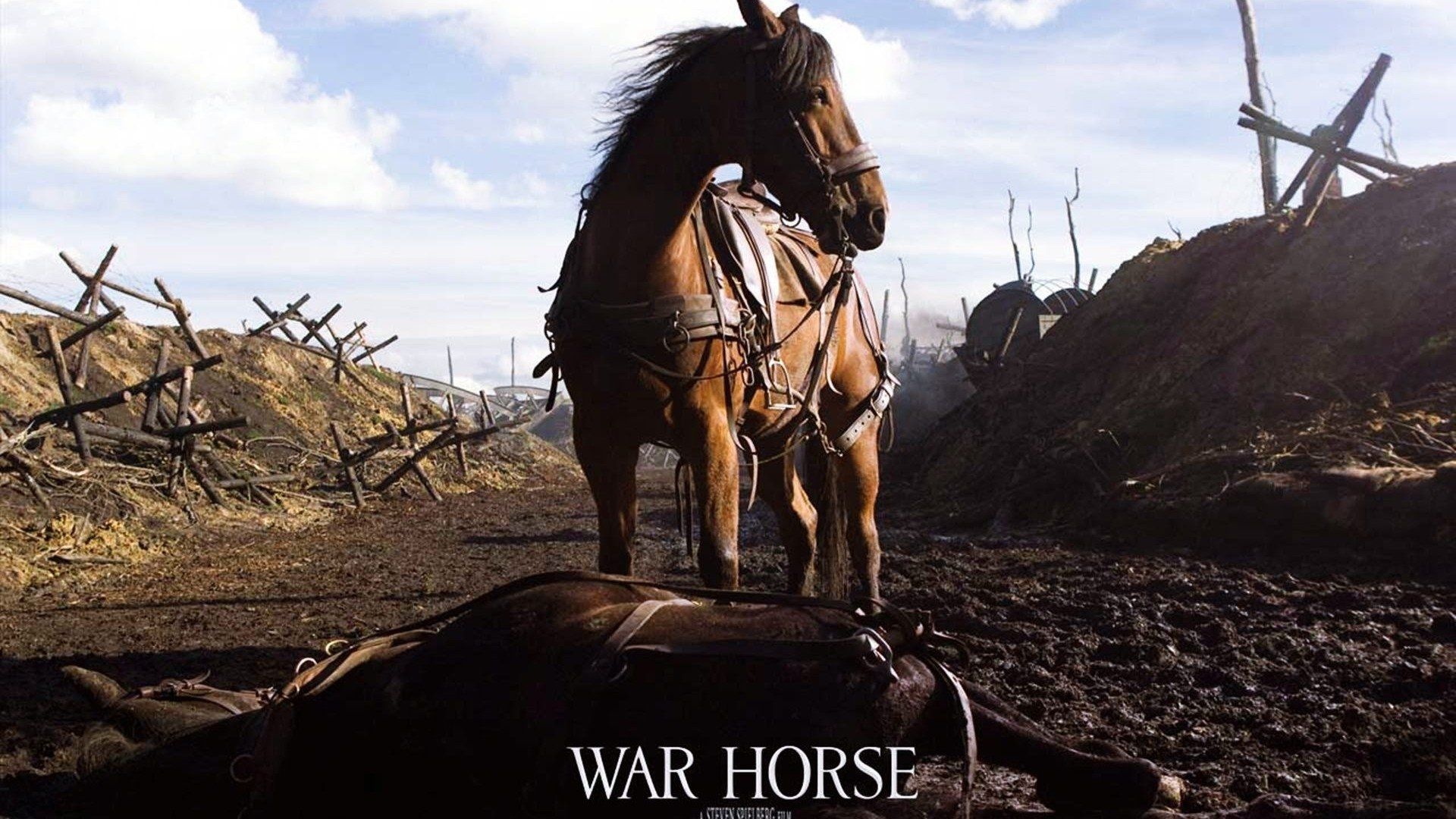 War Horse: Joey, a bay Irish Hunter raised by British teenager Albert. 1920x1080 Full HD Background.