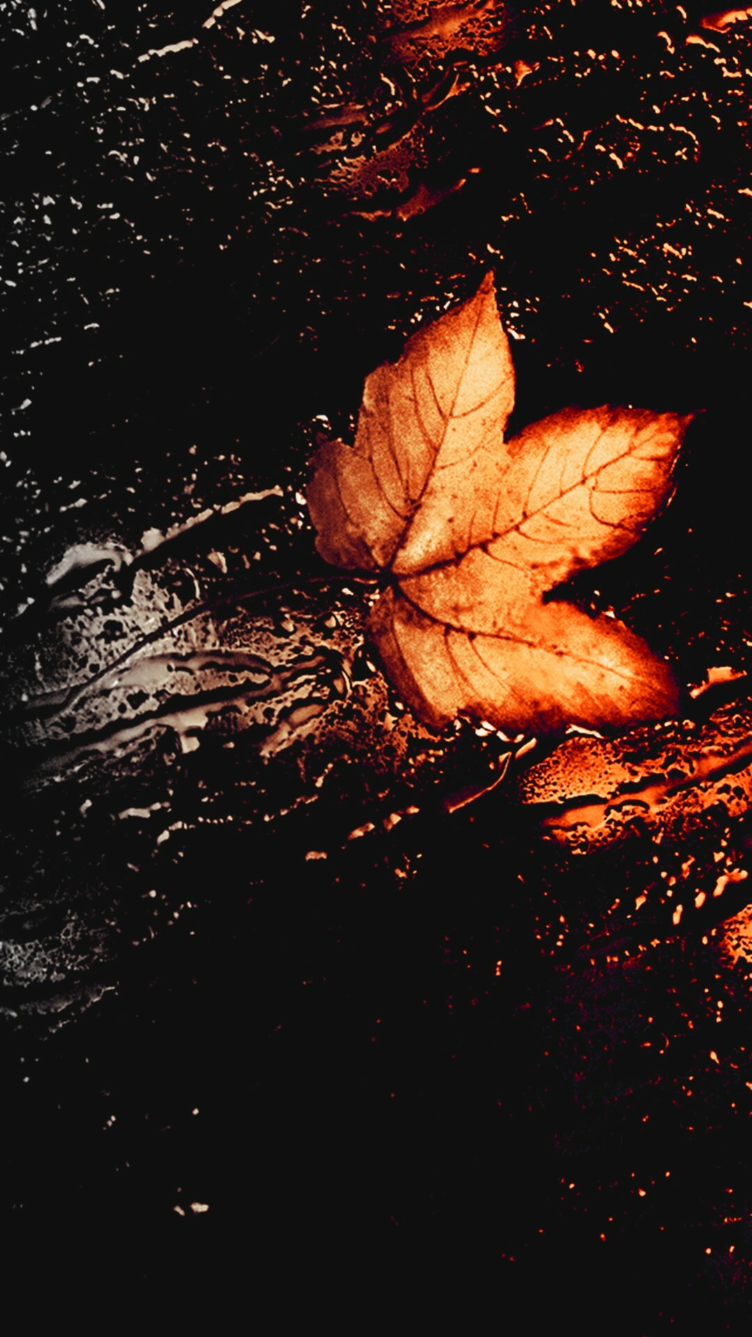 Leaves: Dying and rotting leaf, Brown rusty foliage. 1080x1920 Full HD Wallpaper.