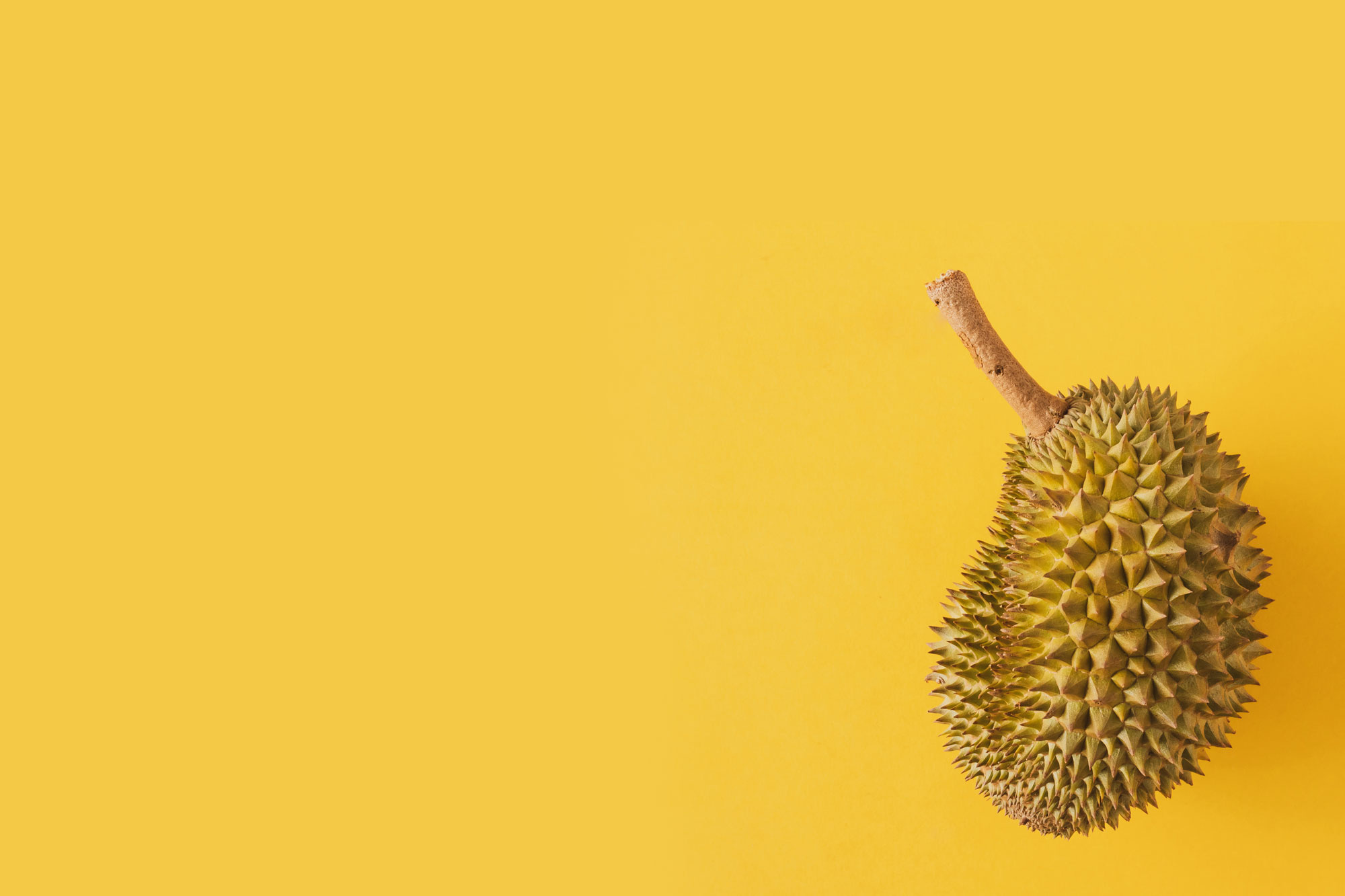 Durian: Rich in vitamin C, vitamin B complex, and dietary fiber. 2000x1340 HD Wallpaper.