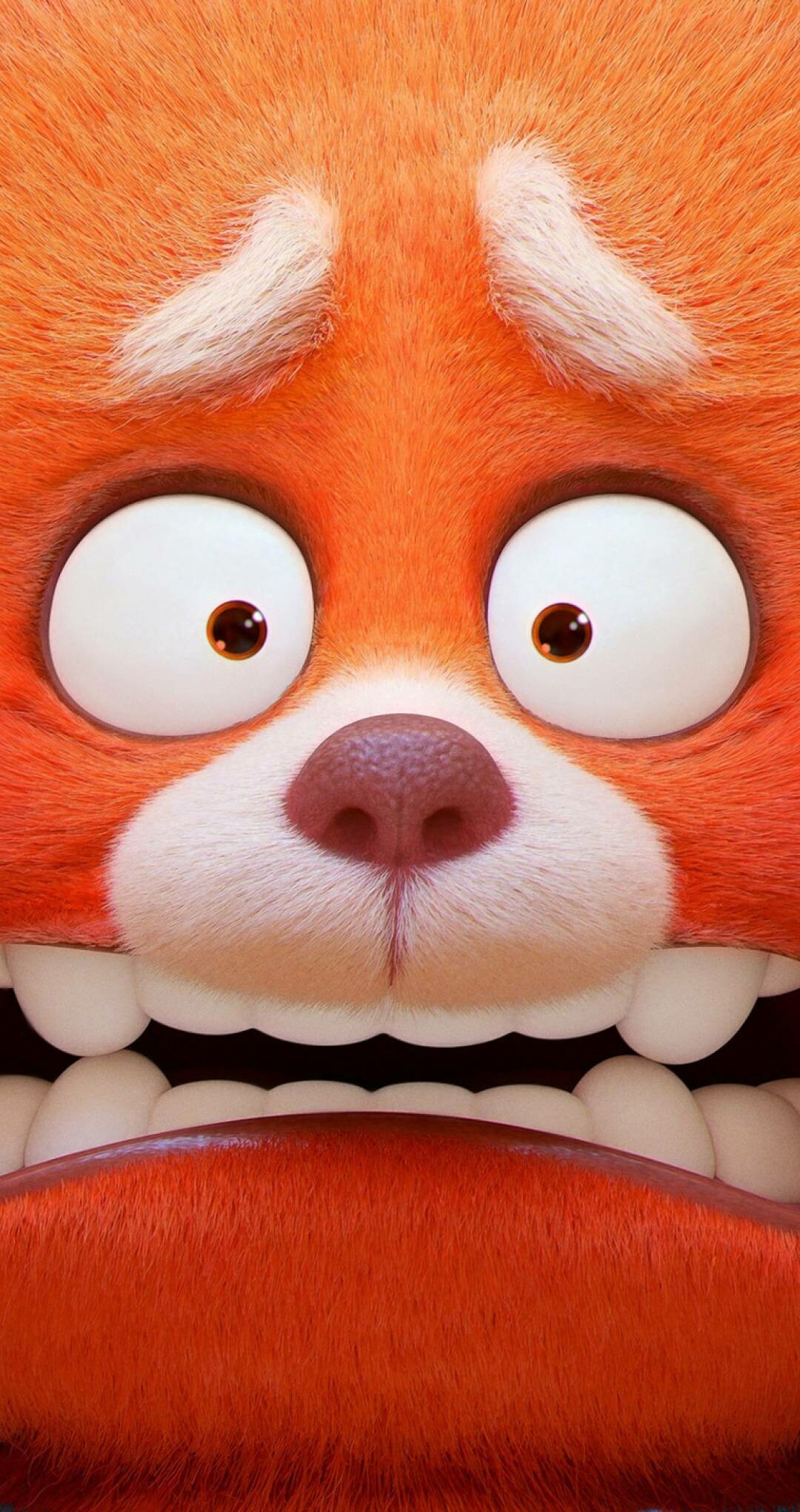 Turning Red: Mei Lee, due to a hereditary curse, transforms into a giant red panda when she experiences any strong emotion. 1080x2040 HD Wallpaper.