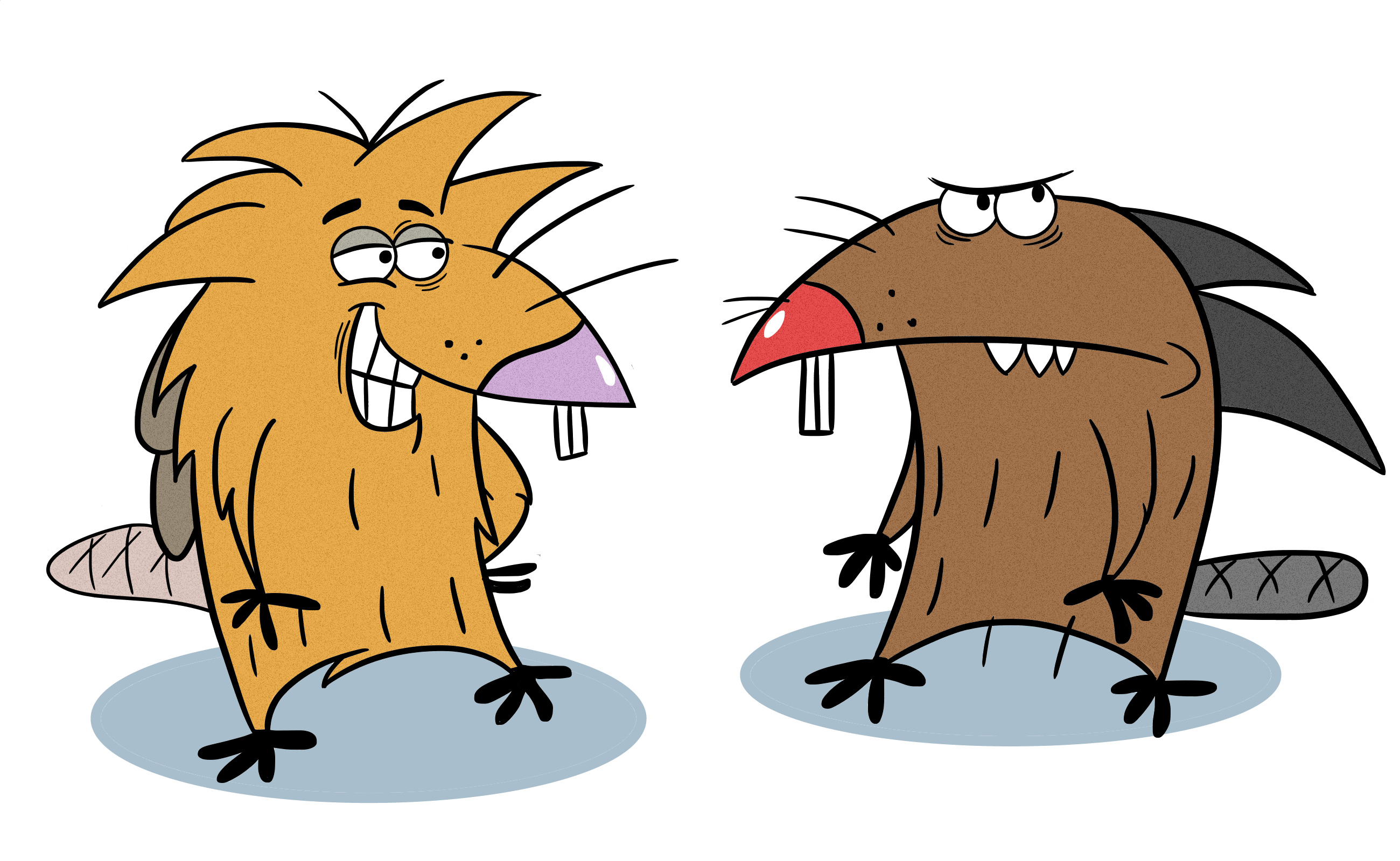 Angry beavers, TV series, Animation, Online discount shop, 2600x1600 HD Desktop