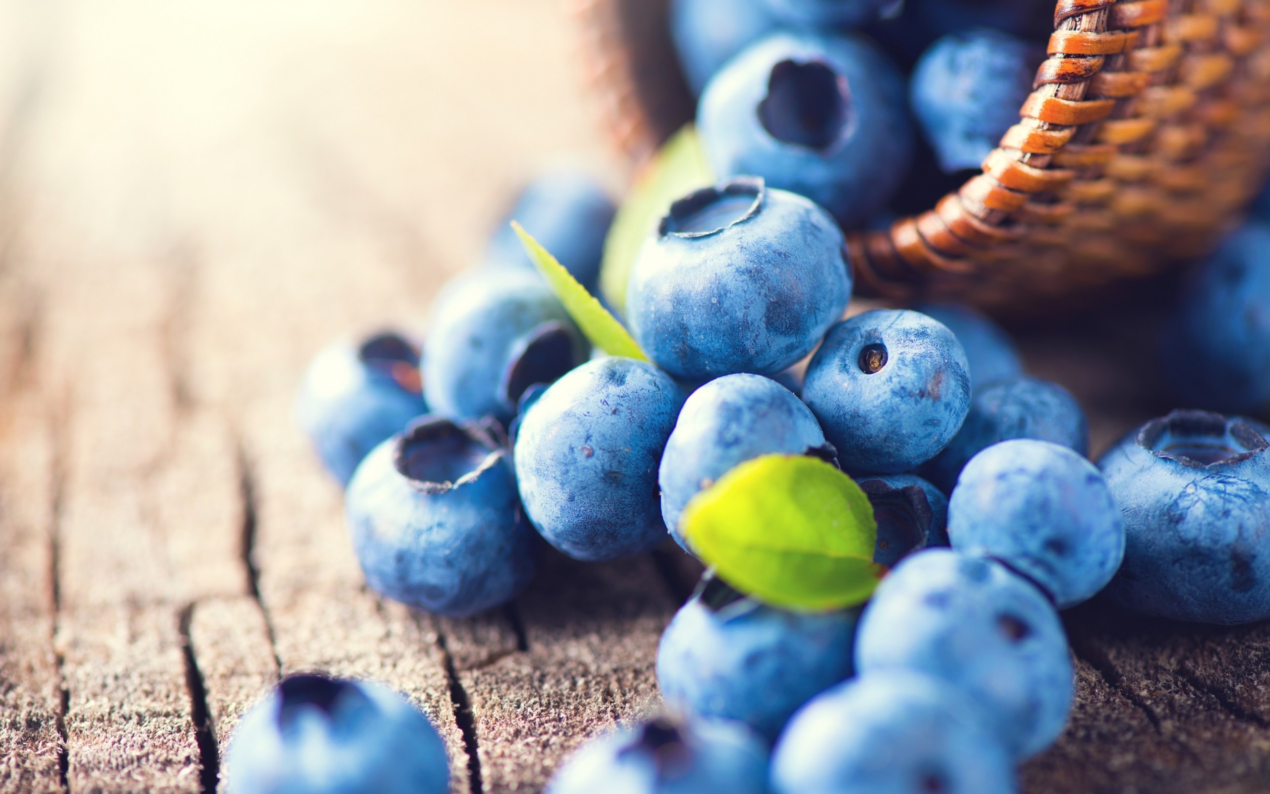 Macro blueberries, Vibrant forest finds, Berrylicious delight, Purple berry paradise, 2560x1600 HD Desktop