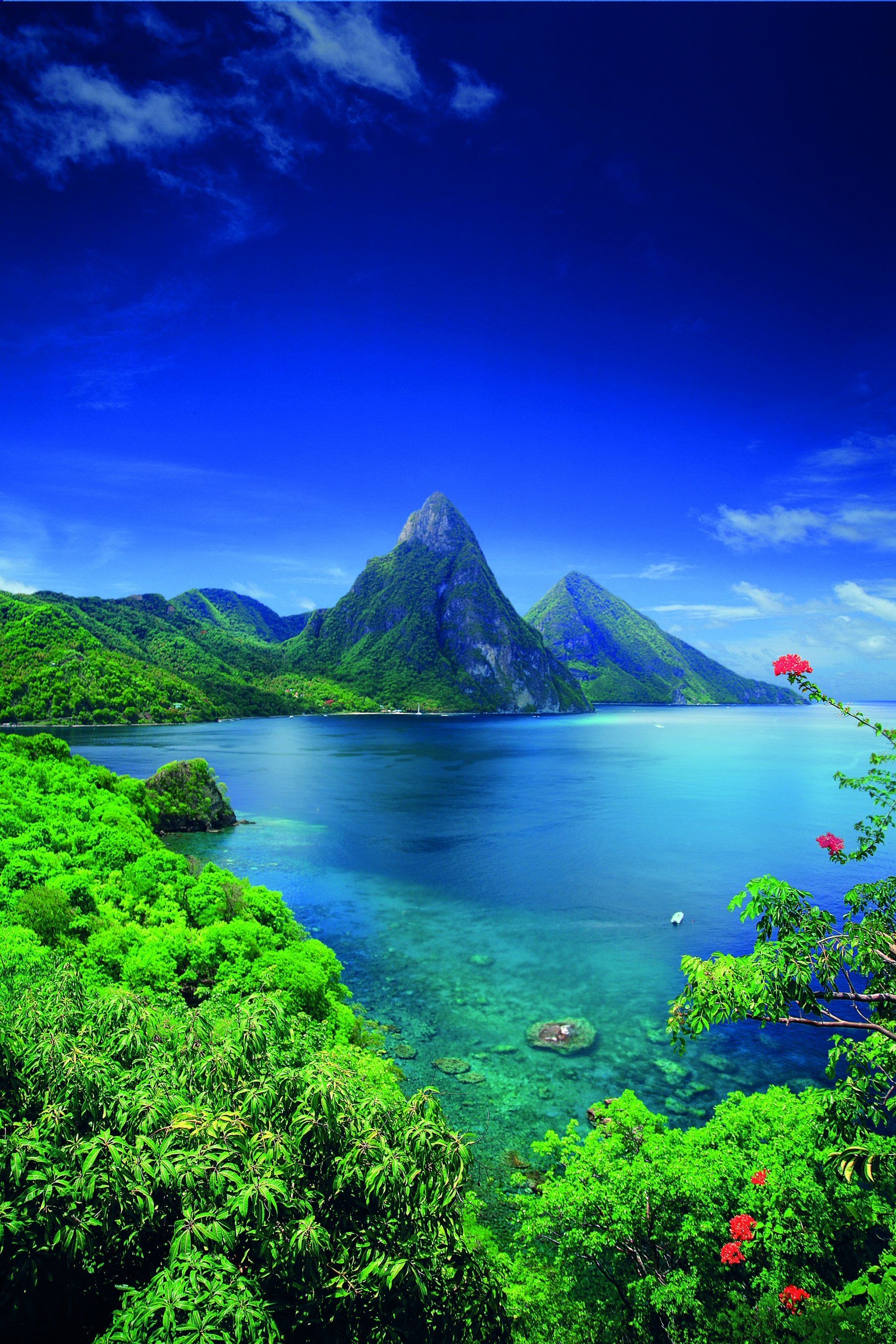 Castries, Saint Lucia travels, Activities in St. Lucia, 1810x2710 HD Handy