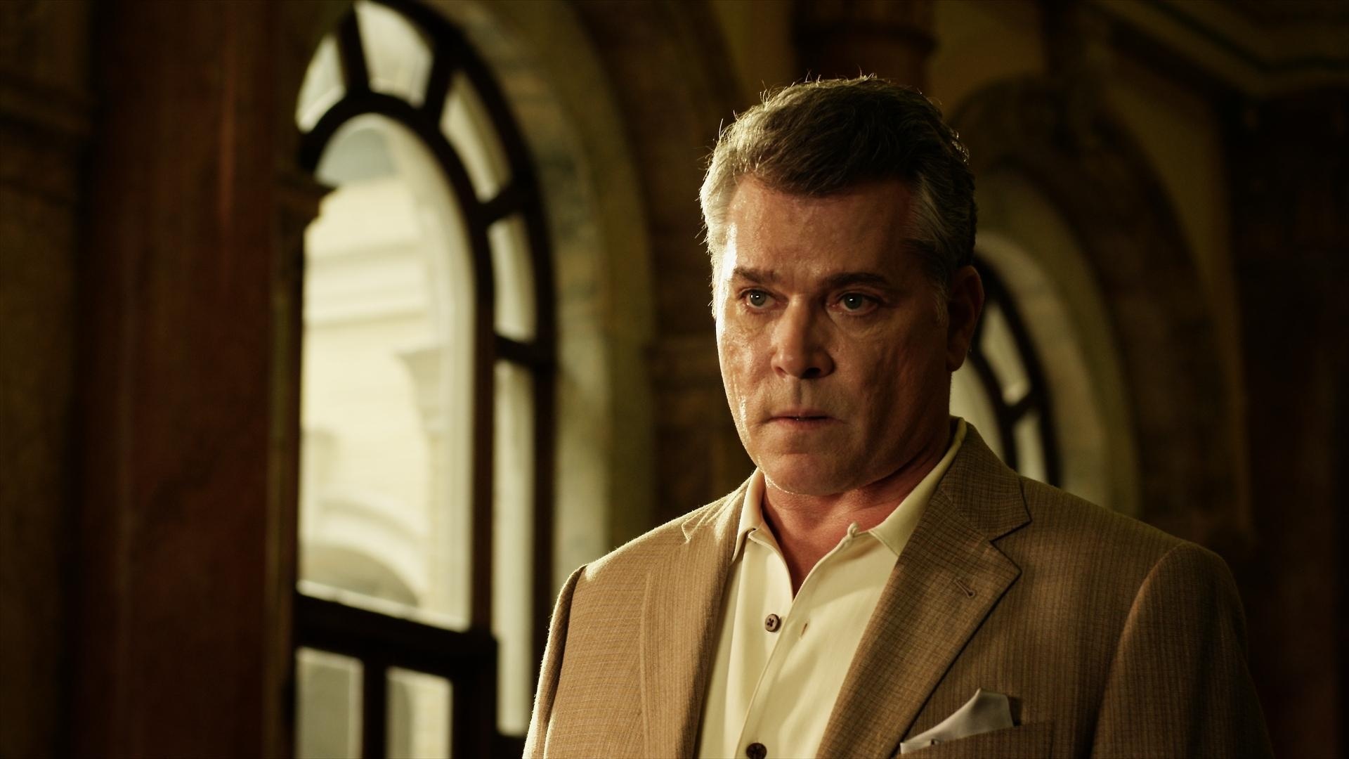 Ray Liotta: Played Detective Harrison in the 2009 Jody Hill comedy Observe and Report. 1920x1080 Full HD Wallpaper.