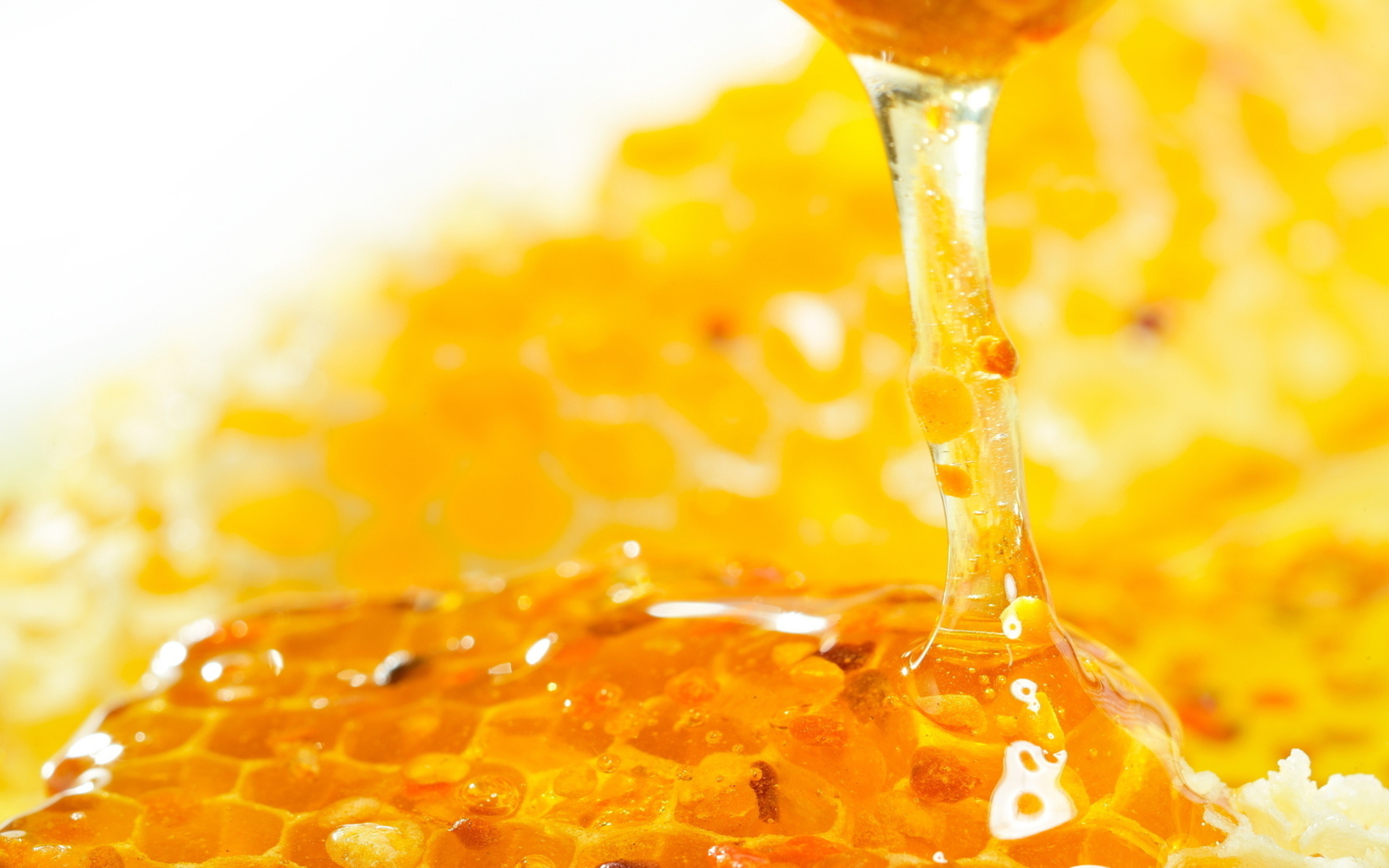 Honey: A sweet, sticky, yellow substance made by bees and used as a food. 1920x1200 HD Background.