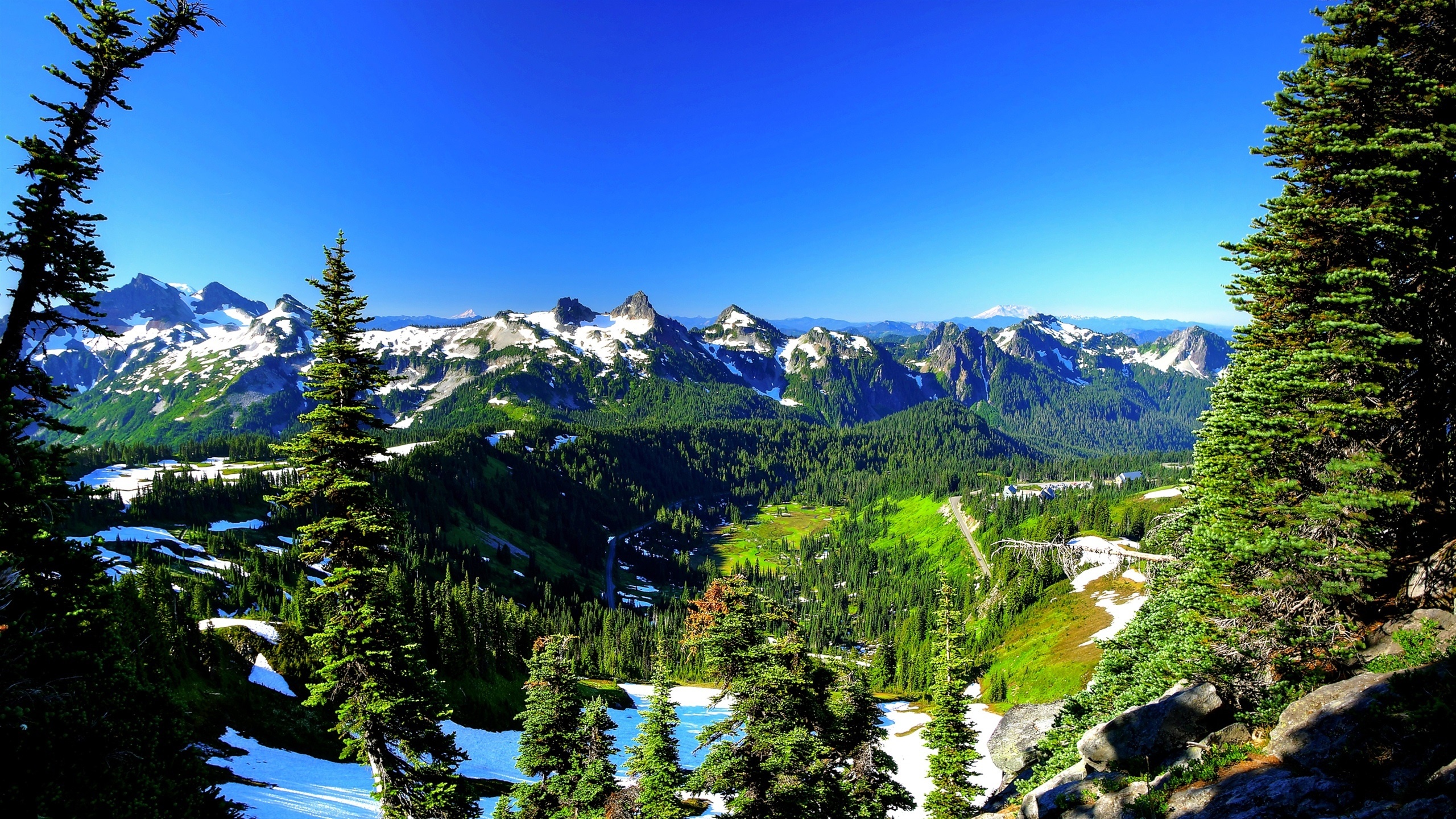 Mount Rainier National Park, USA, Spring, Snow, 2560x1440 HD Desktop