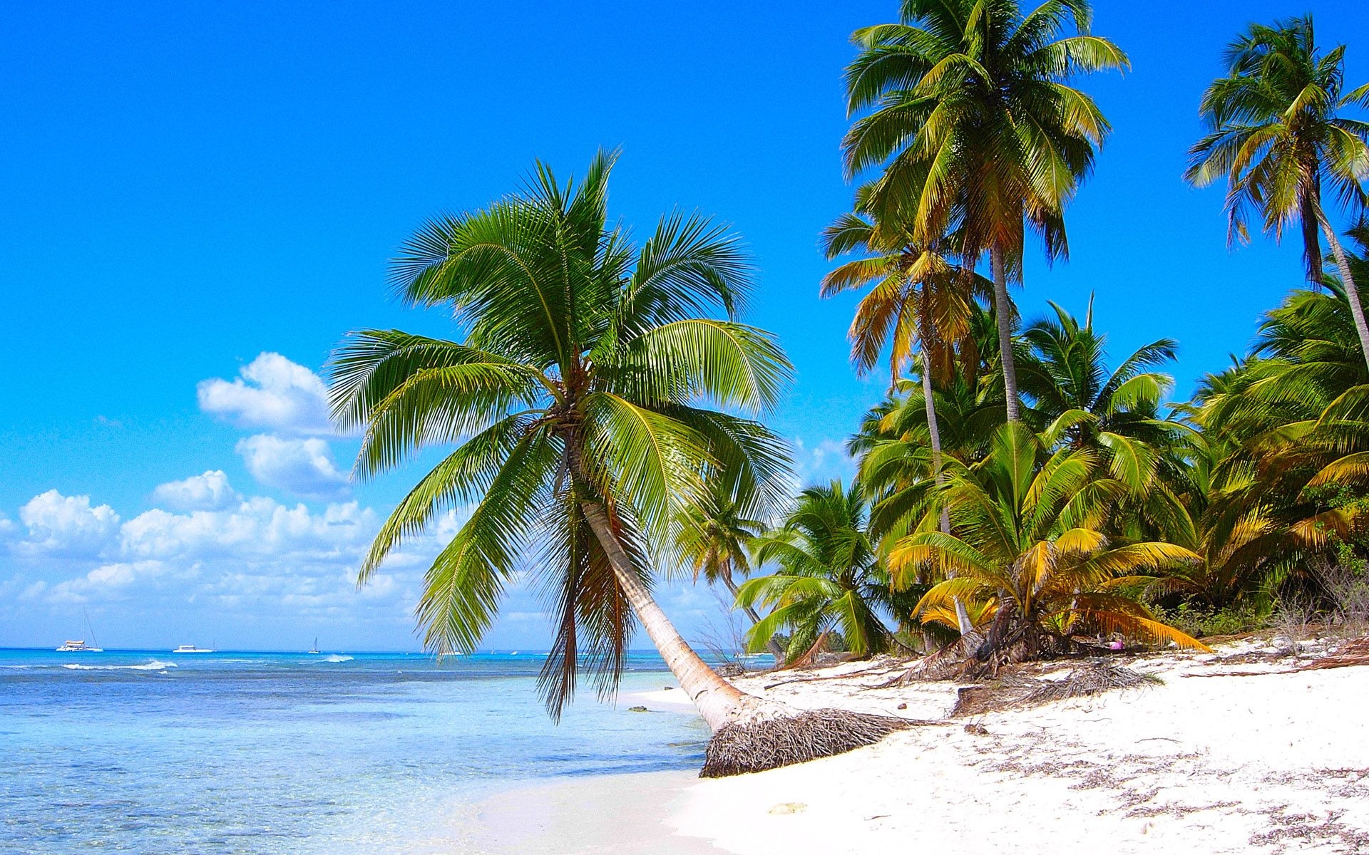 Caribbean Islands: Isla Saona, Dominican Republic's La Altagracia province. 1920x1200 HD Background.