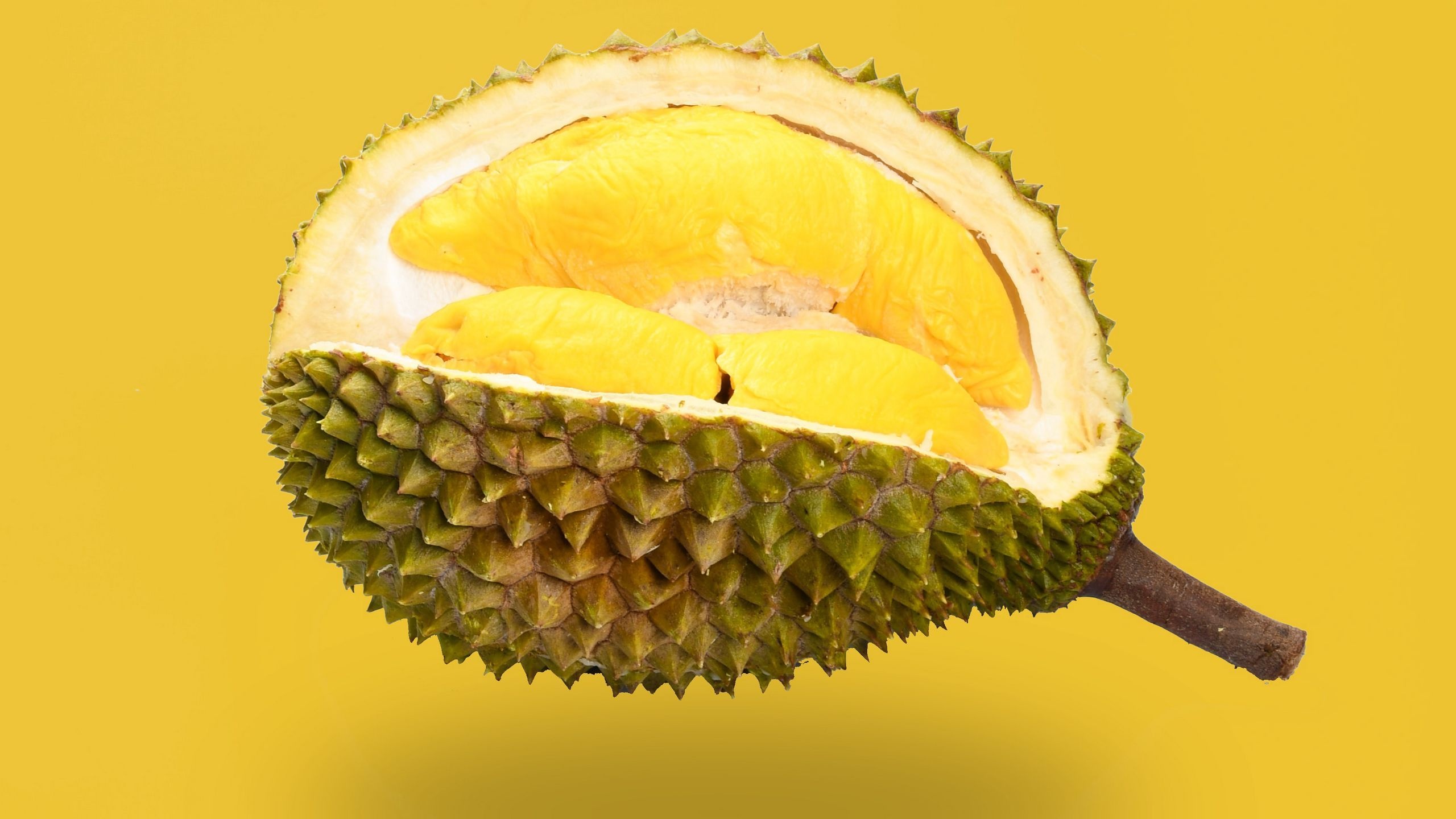 Durian: Five oval compartments filled with a cream-colored pulp. 2560x1440 HD Background.