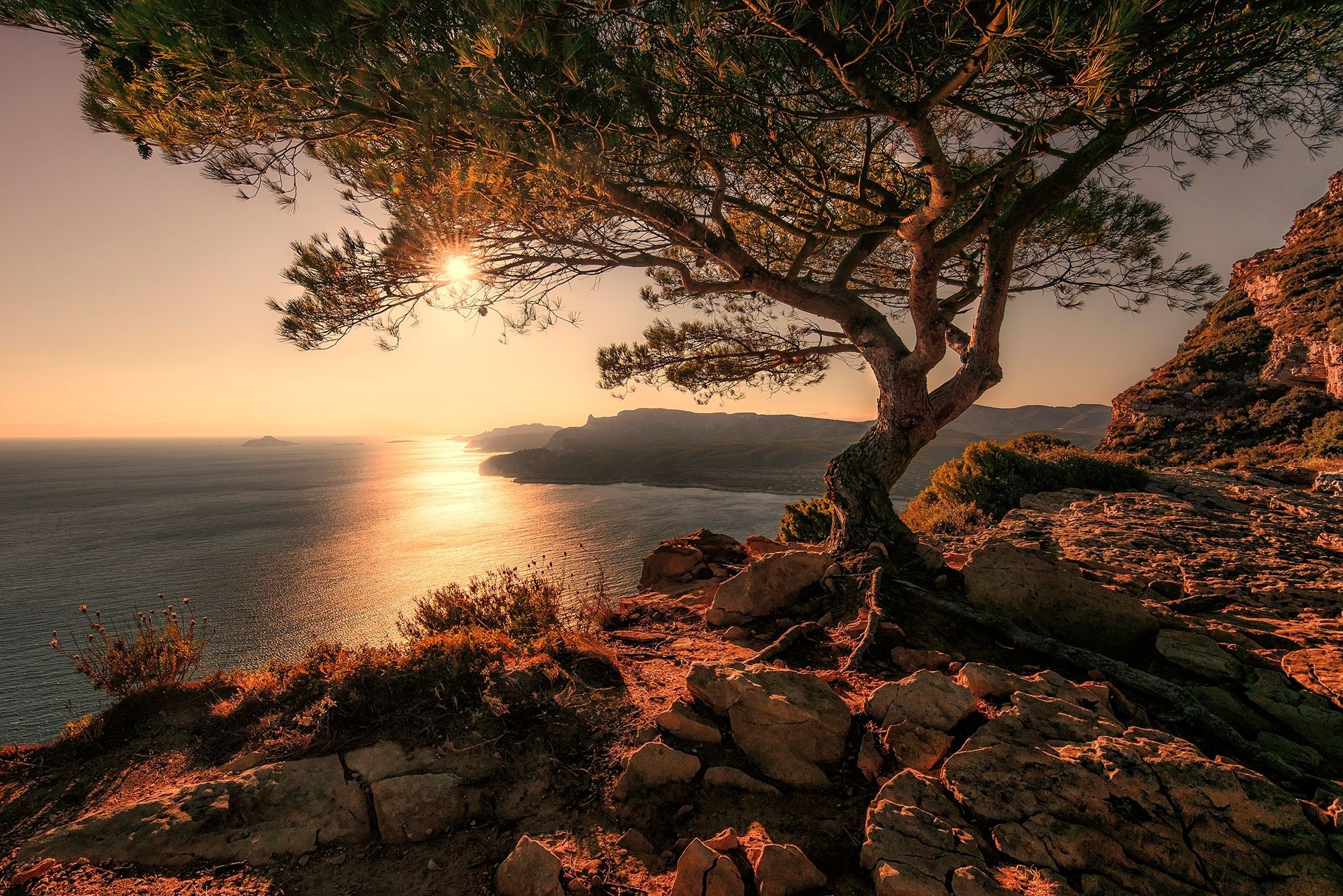 Cypress Tree, Nature photography, Scenery, Beautiful wallpapers, 2000x1340 HD Desktop