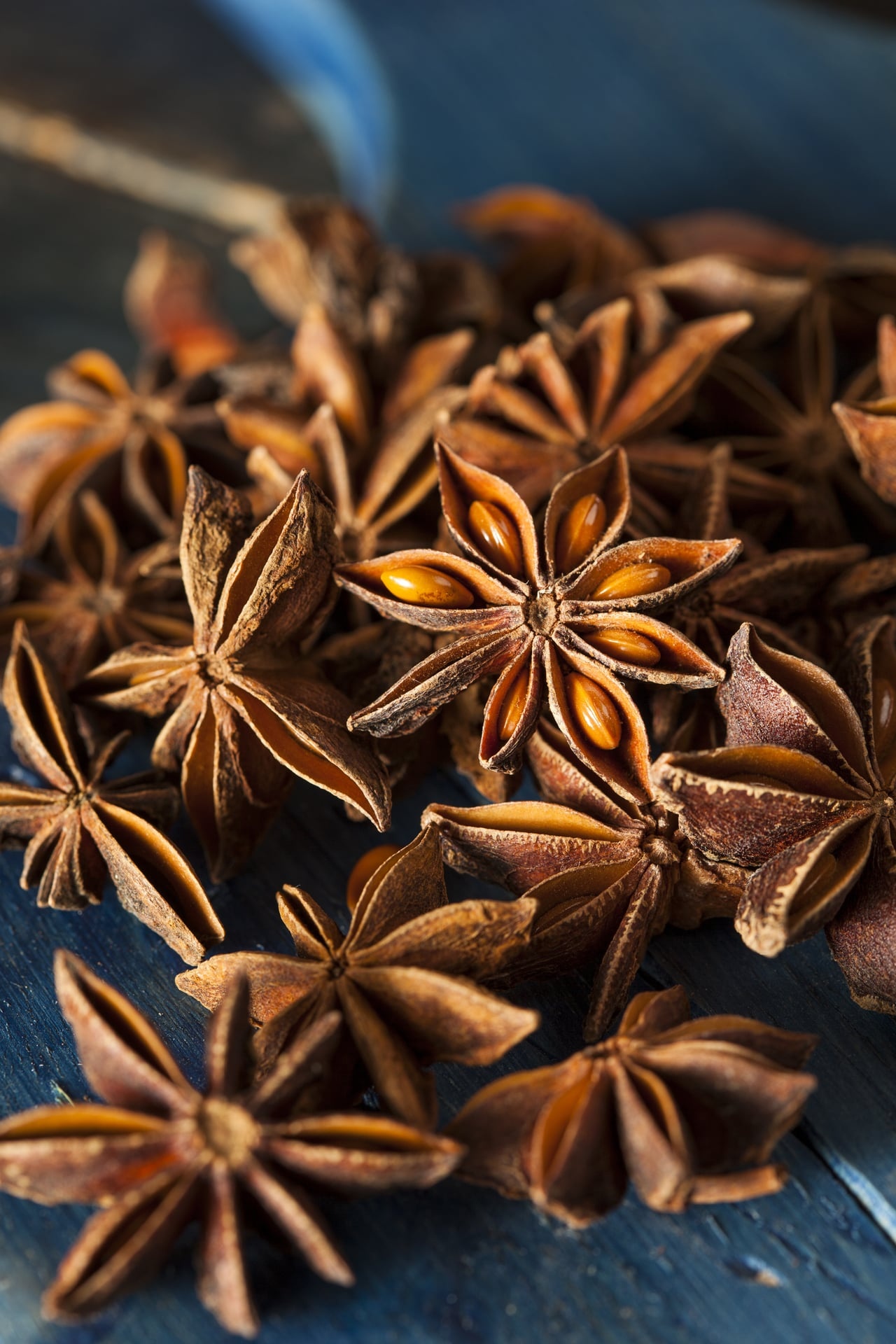 Anise Plant, Weight and measure, Star anise bounty, Culinary gold, 1280x1920 HD Phone