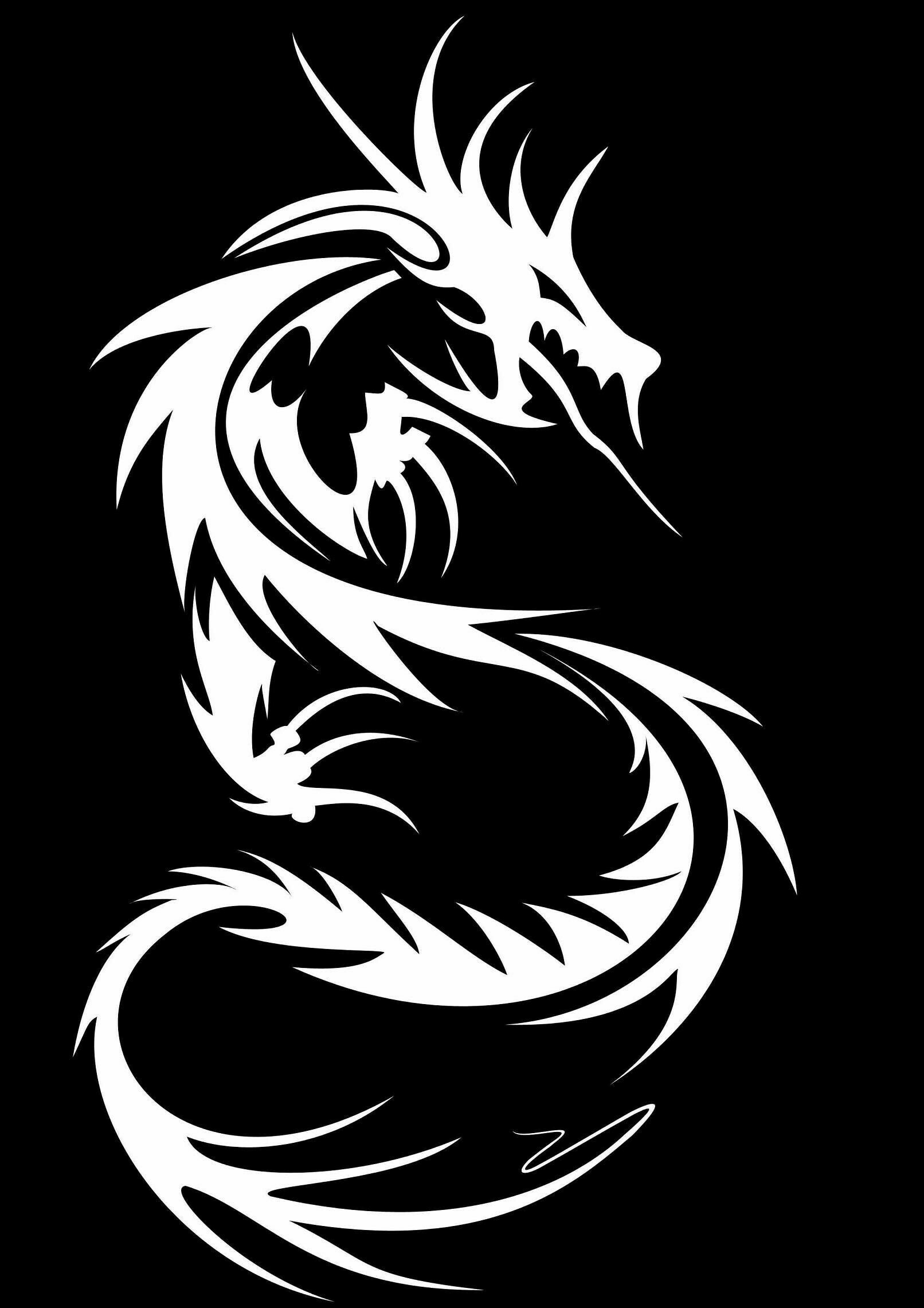 Dragon: Dragon-like creature, Black and white. 1620x2290 HD Background.