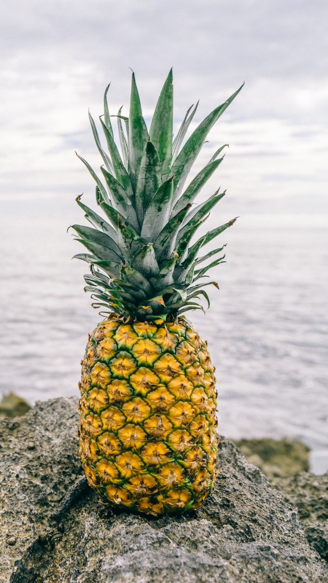 Pineapple: It contains trace amounts of phosphorus, zinc, calcium, and vitamins A and K. 1080x1920 Full HD Background.