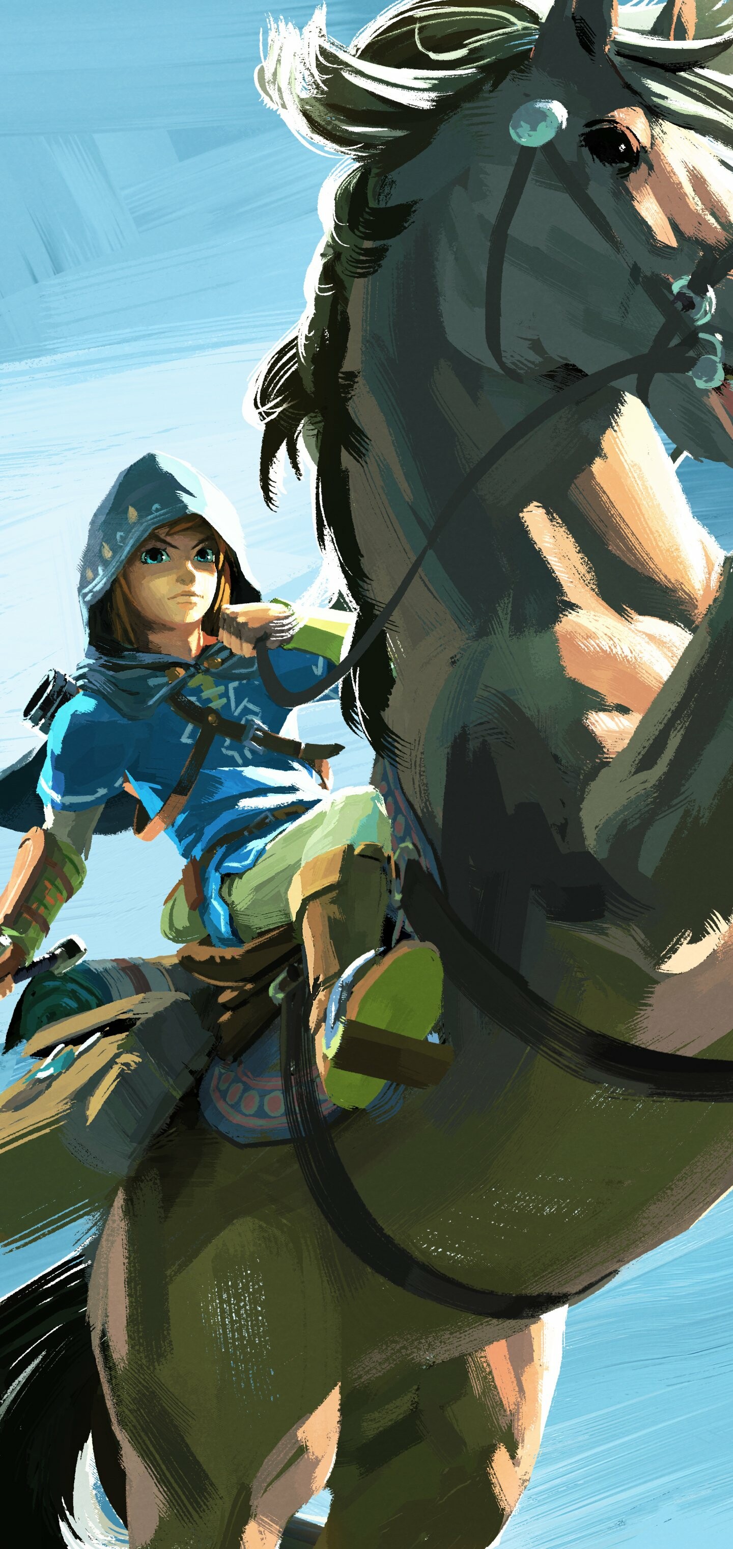Legend of Zelda, Breath of the Wild 2, Video game sequel, Gaming, 1440x3040 HD Phone