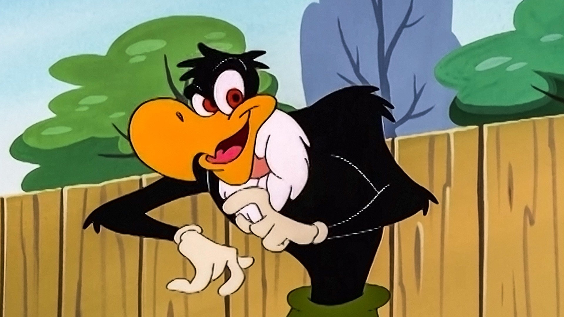 Buzz Buzzard Animation, Woody Woodpecker show, Full episode, 1920x1080 Full HD Desktop