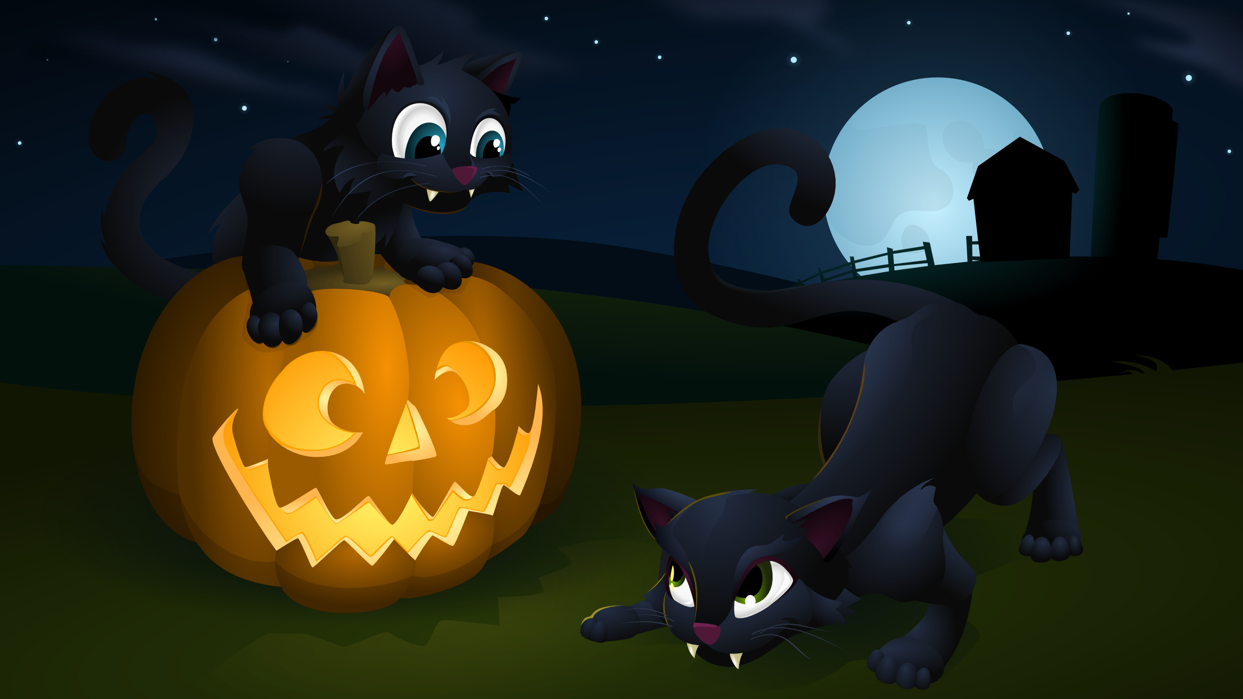 Halloween Cat, Spooky cat imagery, Dark Halloween atmosphere, Mysterious black cats, 2560x1440 HD Desktop