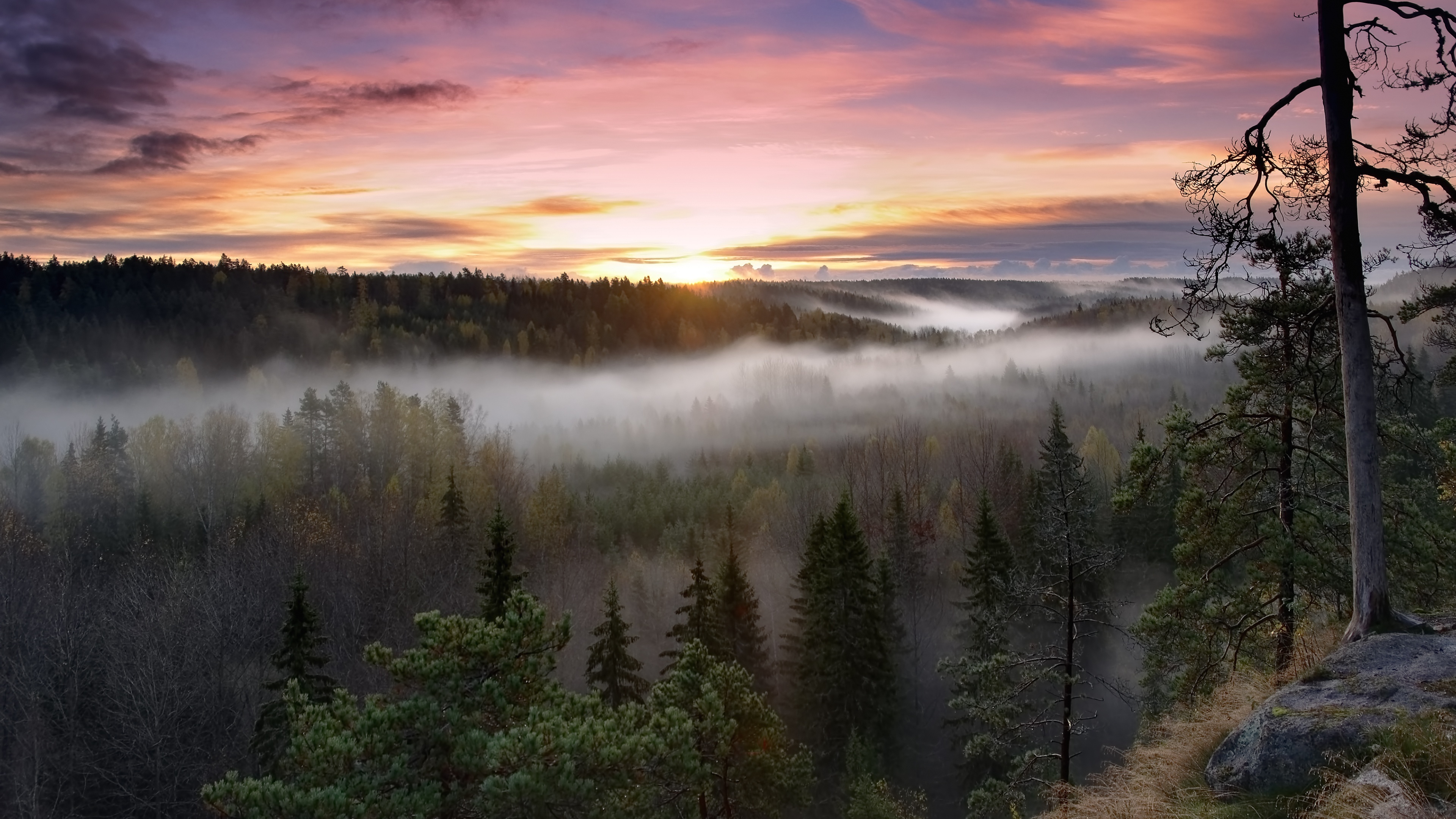 Finland: Noux National Park, Forest, Nature, Non-urban area. 3840x2160 4K Background.