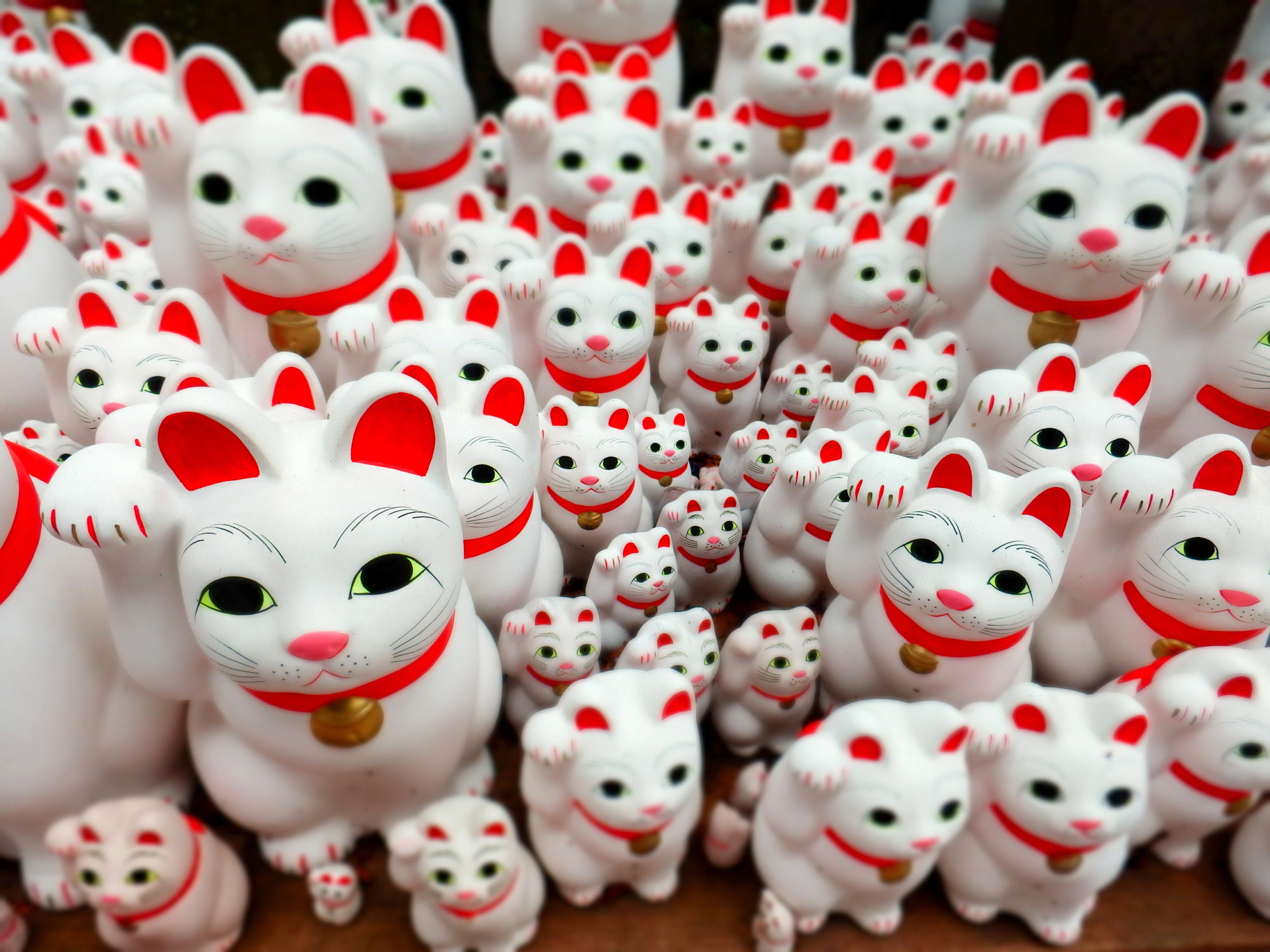 Japanese Lucky Cat, Cute Wall Art, Ethereal Aesthetic, Serene Presence, 2000x1500 HD Desktop