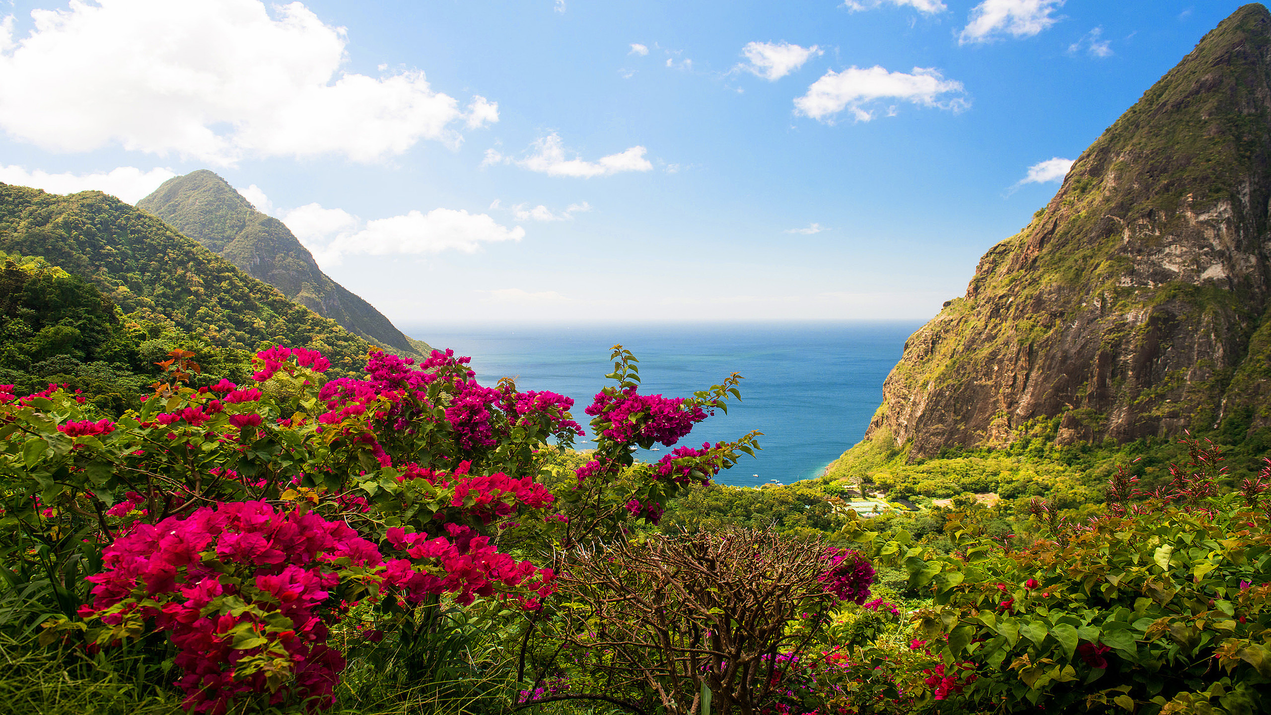 Caribbean Islands: Saint Lucia, The West Indies, Highland, Tropical paradise. 2560x1440 HD Background.