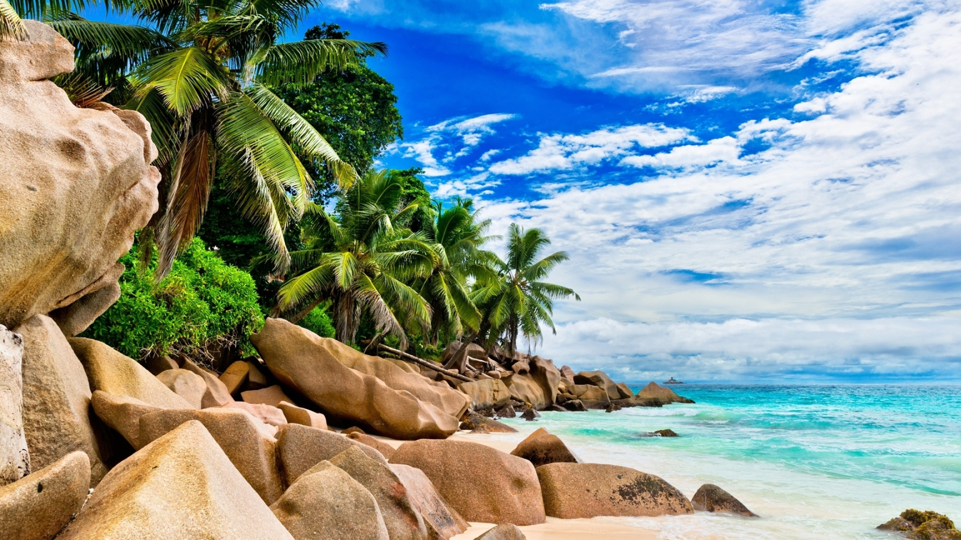 Seychelles palms, Coastal rocks, Breathtaking views, Serene natural beauty, 1920x1080 Full HD Desktop