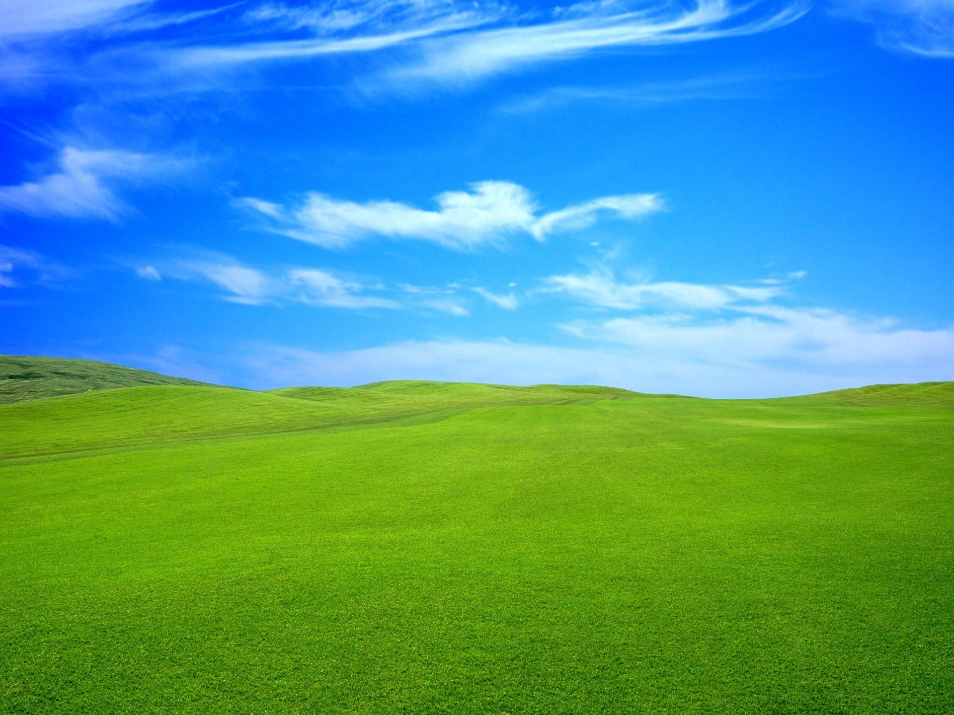 Grass and Sky: Spring, Plain, Meadow, Prairie, Heathland, Steppe, Parkland, Countryside, Wool-pack clouds. 1920x1440 HD Wallpaper.