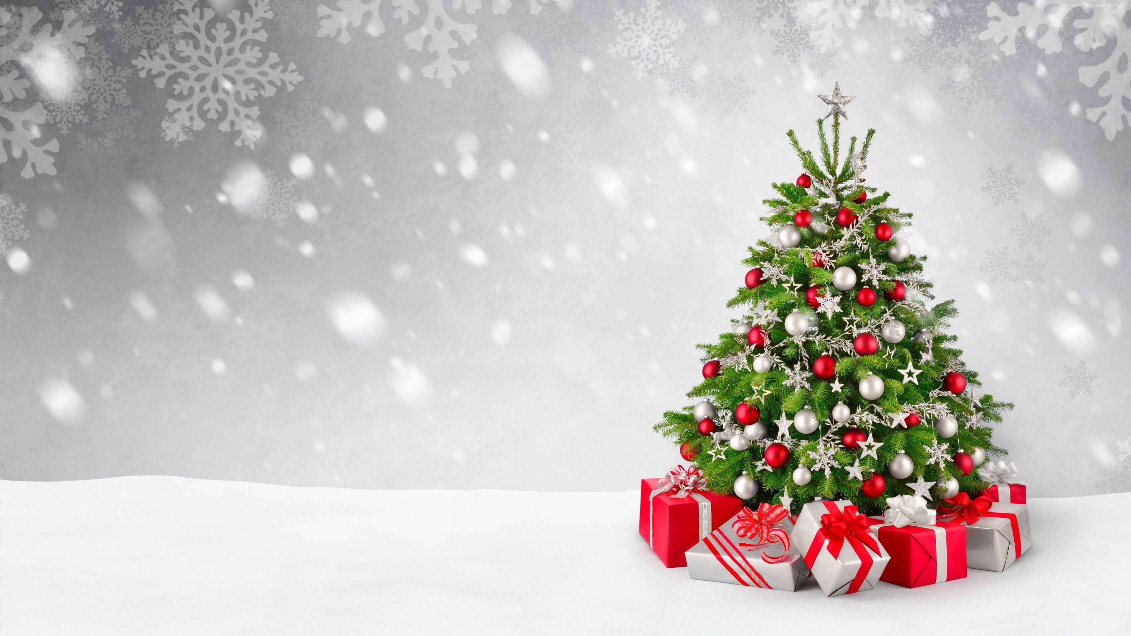 Fir tree in snow, Christmas and New Year, Gift-giving season, Festive wallpaper, 3840x2160 4K Desktop