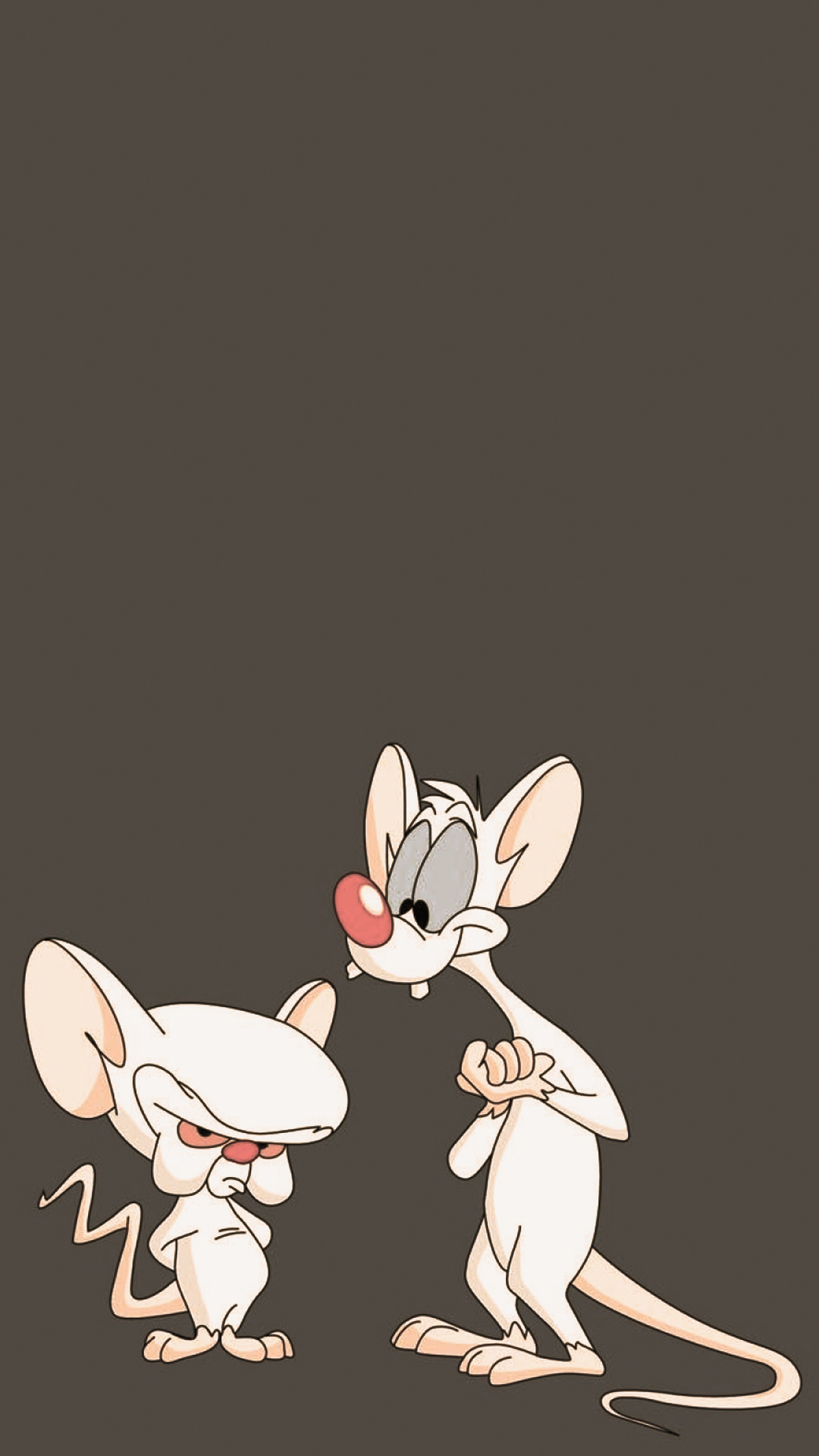 Pinky and the Brain Google Pixel wallpaper, Animated antics, Digital nostalgia, Mobile makeover, 1080x1920 Full HD Phone
