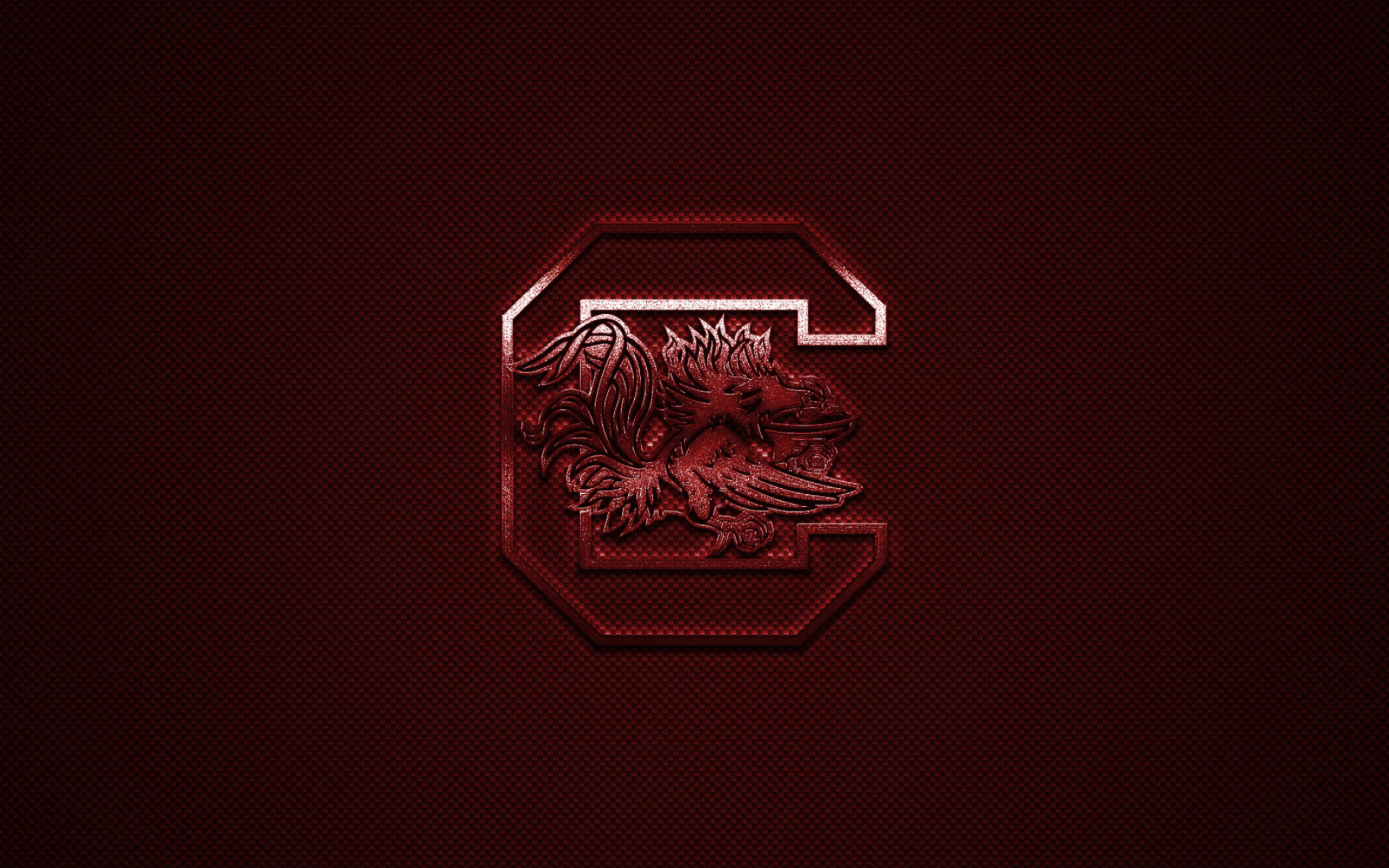 South Carolina Gamecocks, Logo image, American football club, Carbon fiber background, 2560x1600 HD Desktop