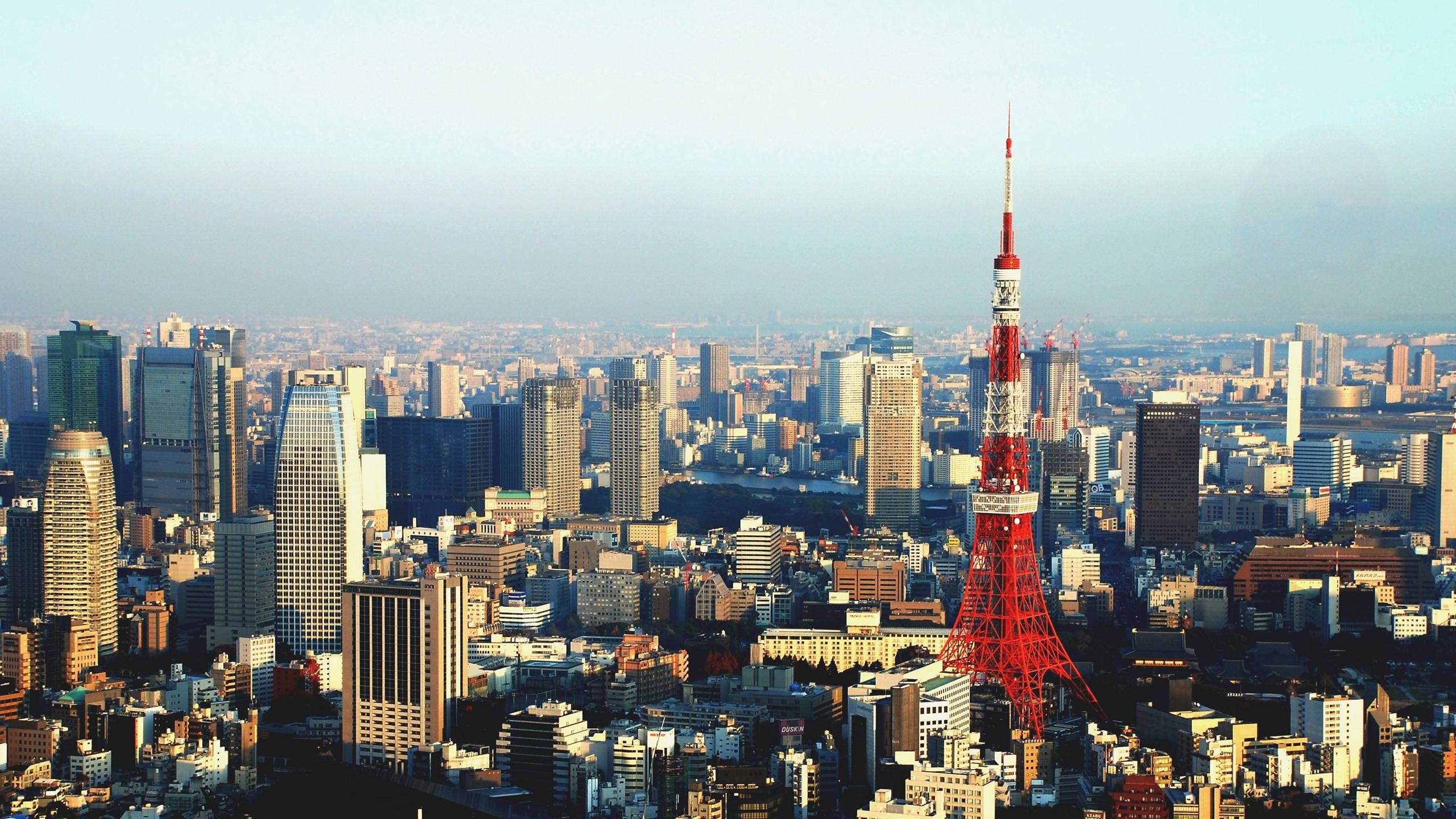 Tokyo Skyline, Cityscape views, Vibrant city, Modern architecture, 2560x1440 HD Desktop