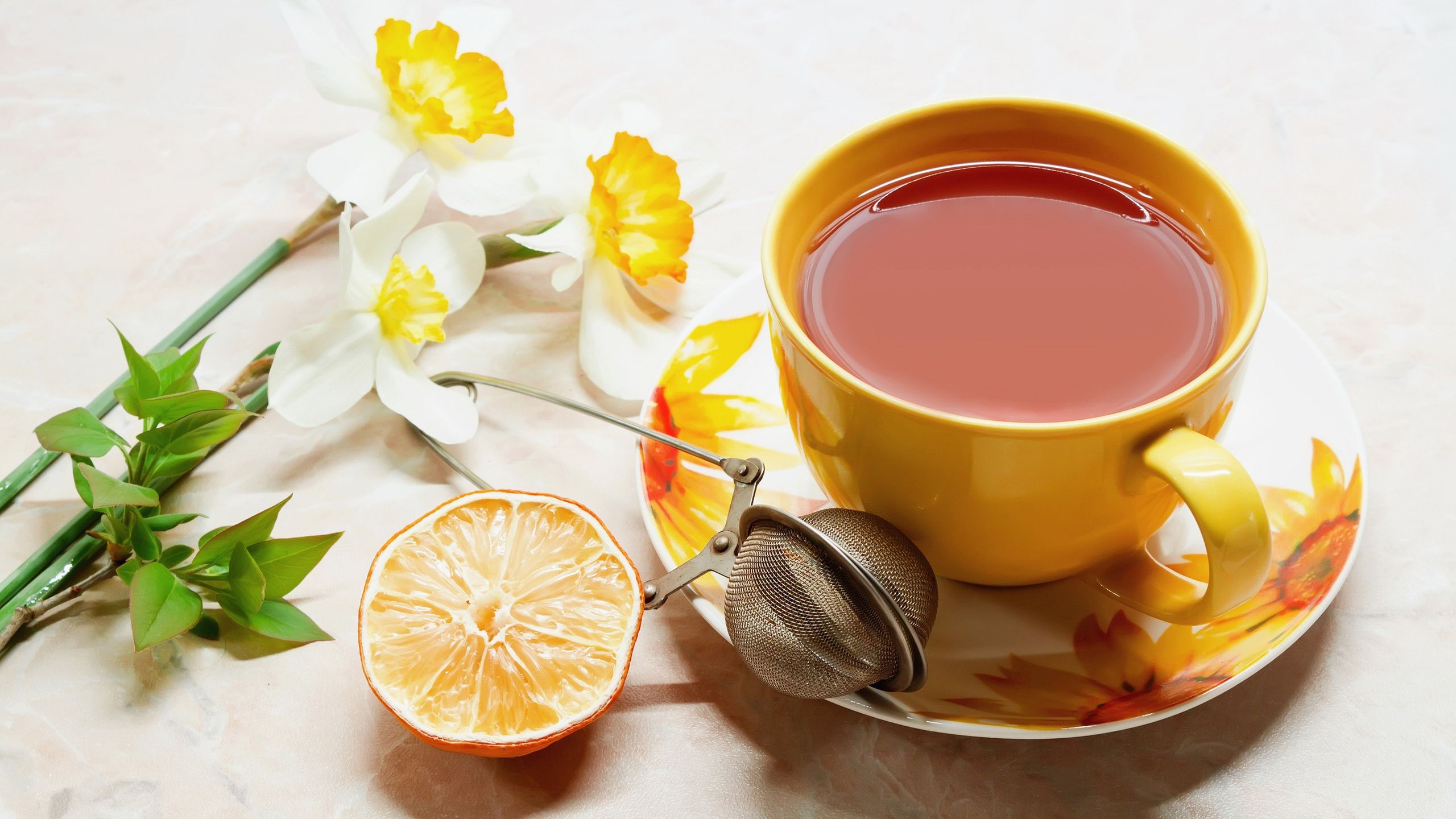 Tea: Herbal teas, Beverages made from the infusion or decoction of herbs, spices. 2560x1440 HD Wallpaper.