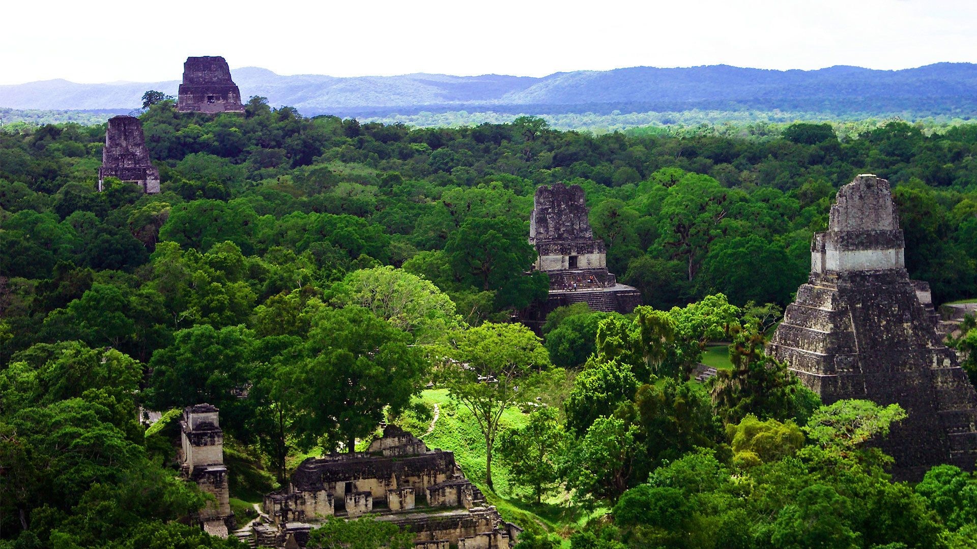 Genießen Sie eine Tagestour in Tikal, 1920x1080 Full HD Desktop