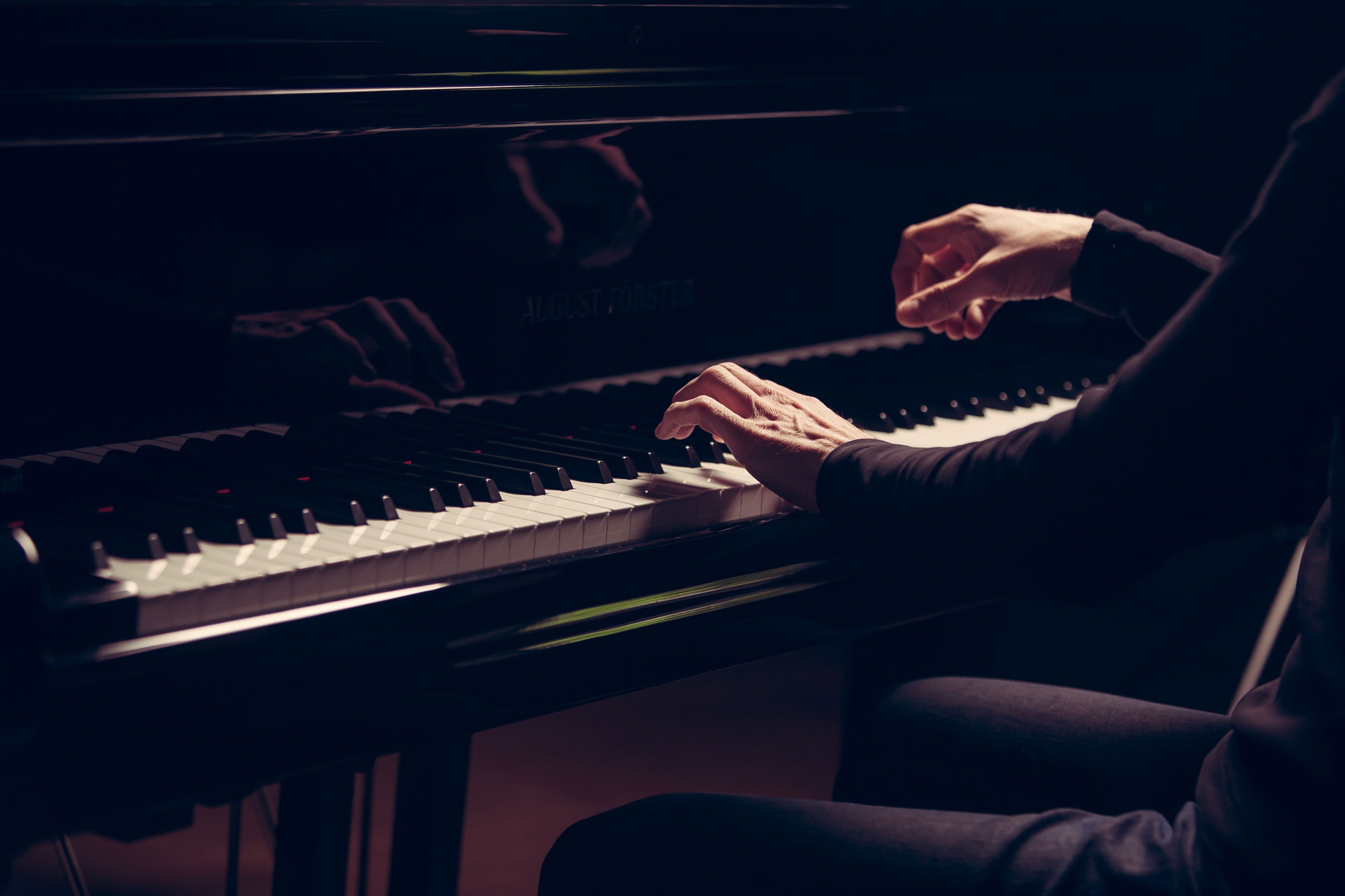 Fortepiano: Gregor Vidovic, Professional German Pianist, The Member Of The Lions Club International. 2500x1670 HD Wallpaper.