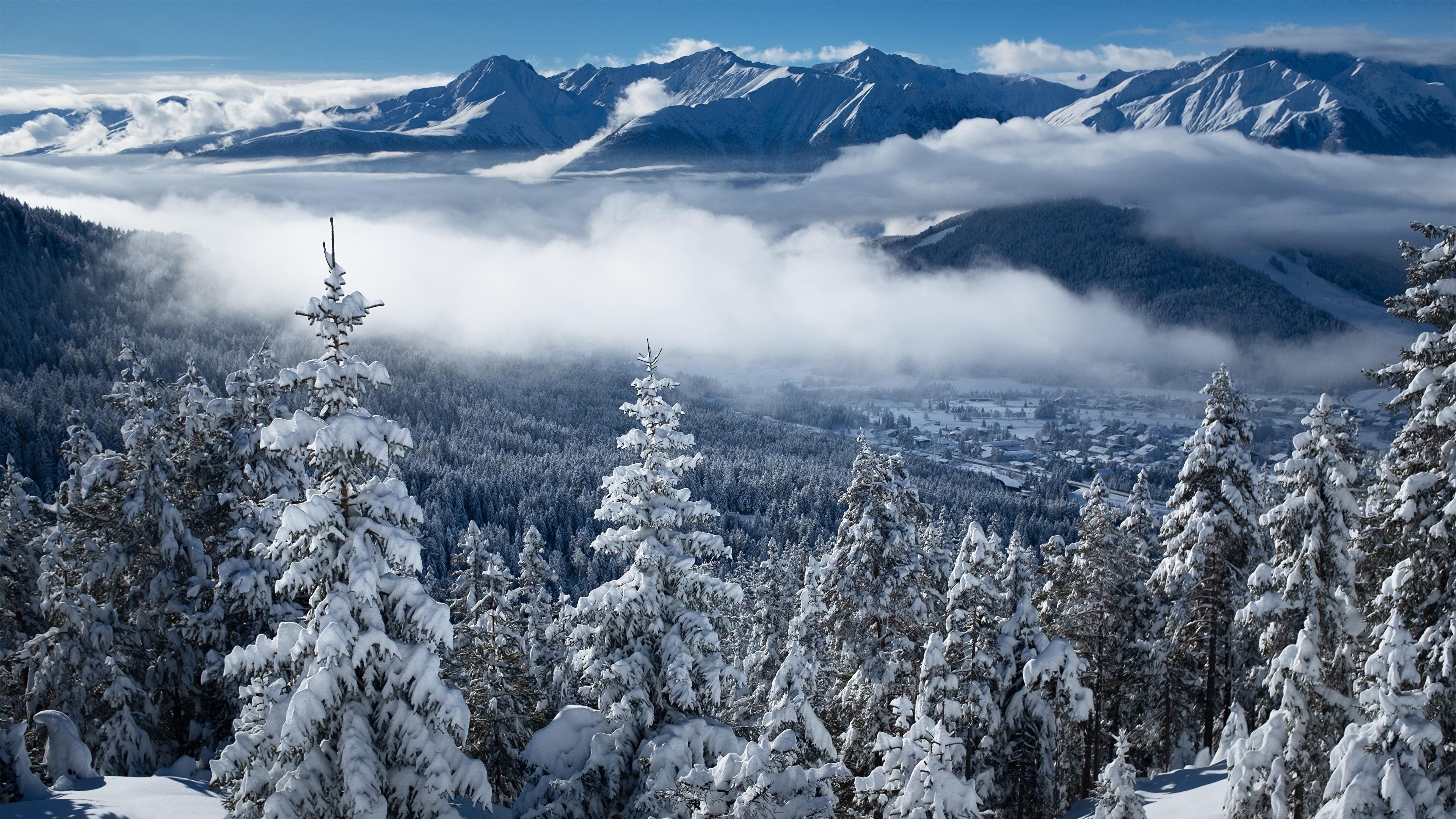 Snow-covered spruce trees, Mountain scenery, Blue sky, Winter wonderland, 3840x2160 4K Desktop