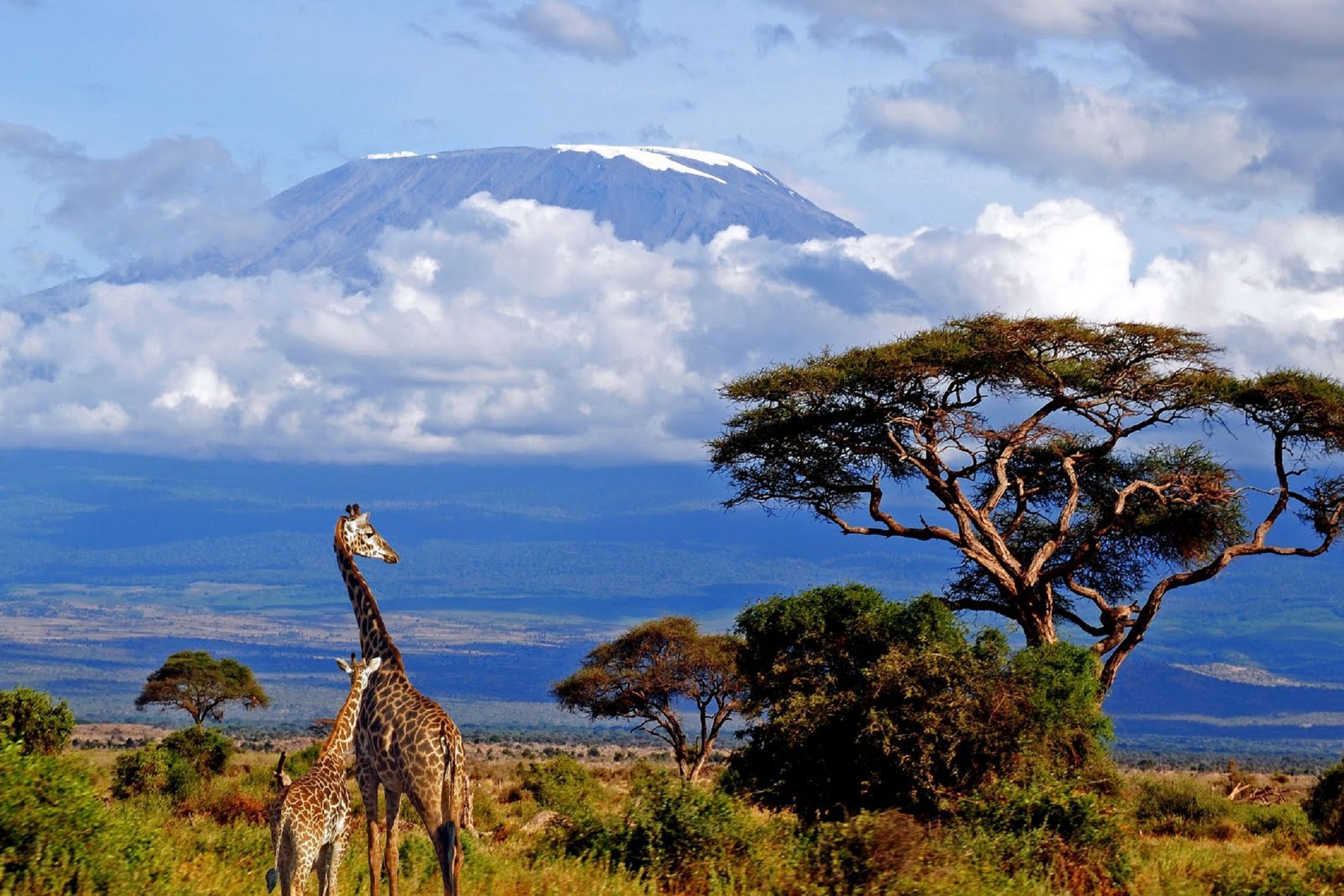 Kilimanjaro, Travels, African mountain, Volcanic peak, 2160x1440 HD Desktop