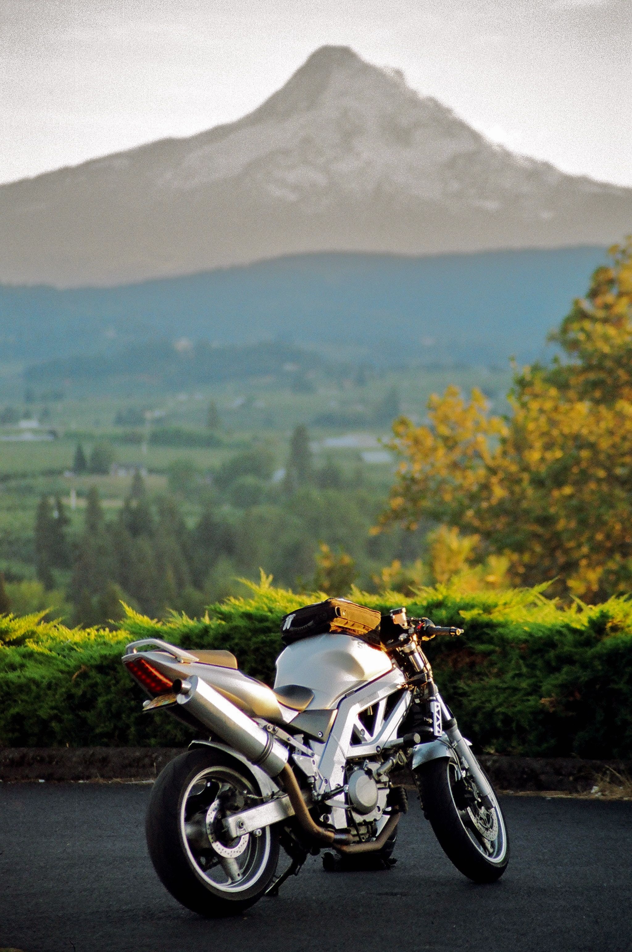 Suzuki SV650, Motorcycle photo, Exemplary performance, Stylish ride, 2050x3090 HD Phone