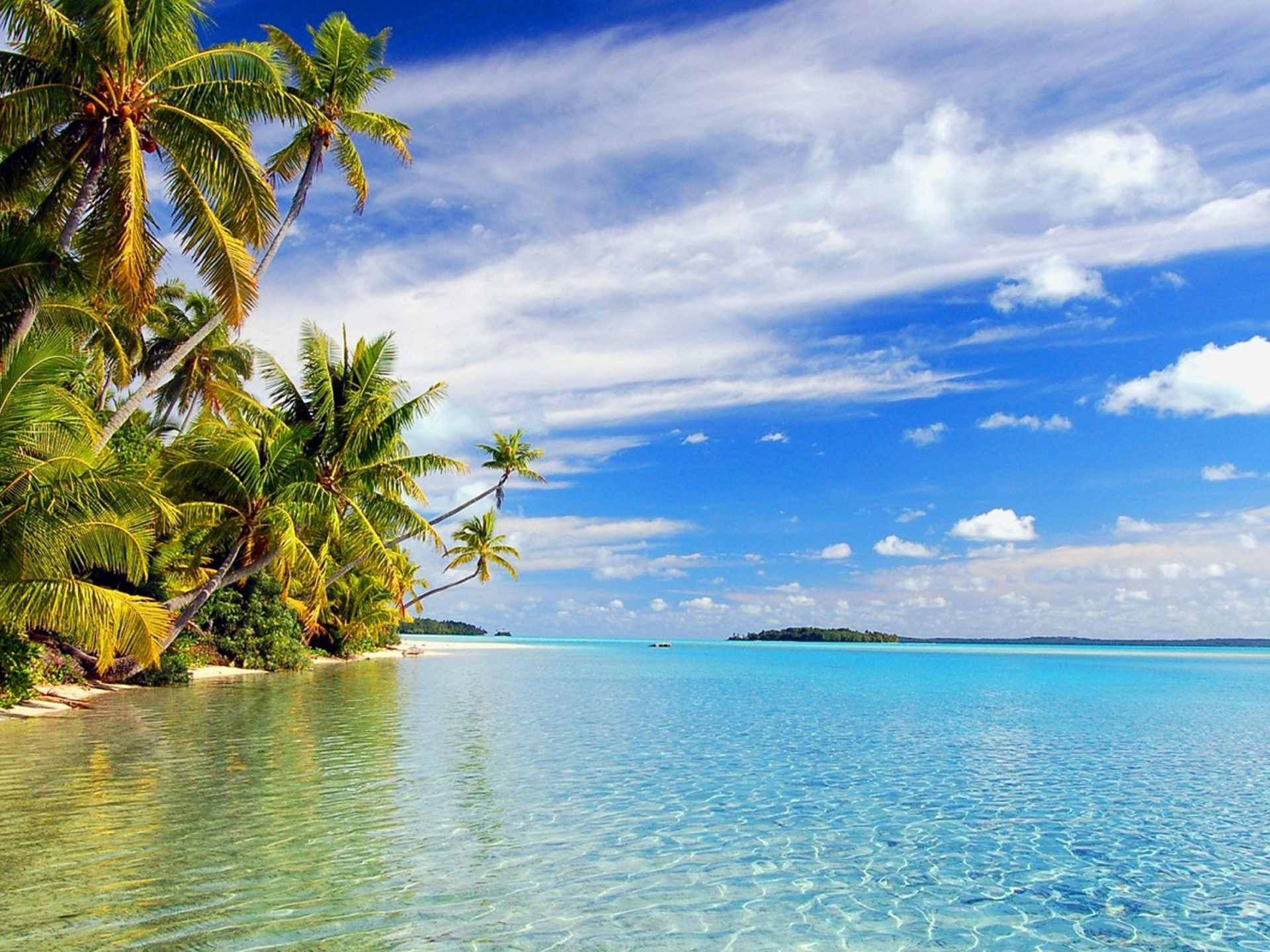 Beautiful beach, Sand green palm, Clear sea water, Tropical paradise, 1920x1440 HD Desktop