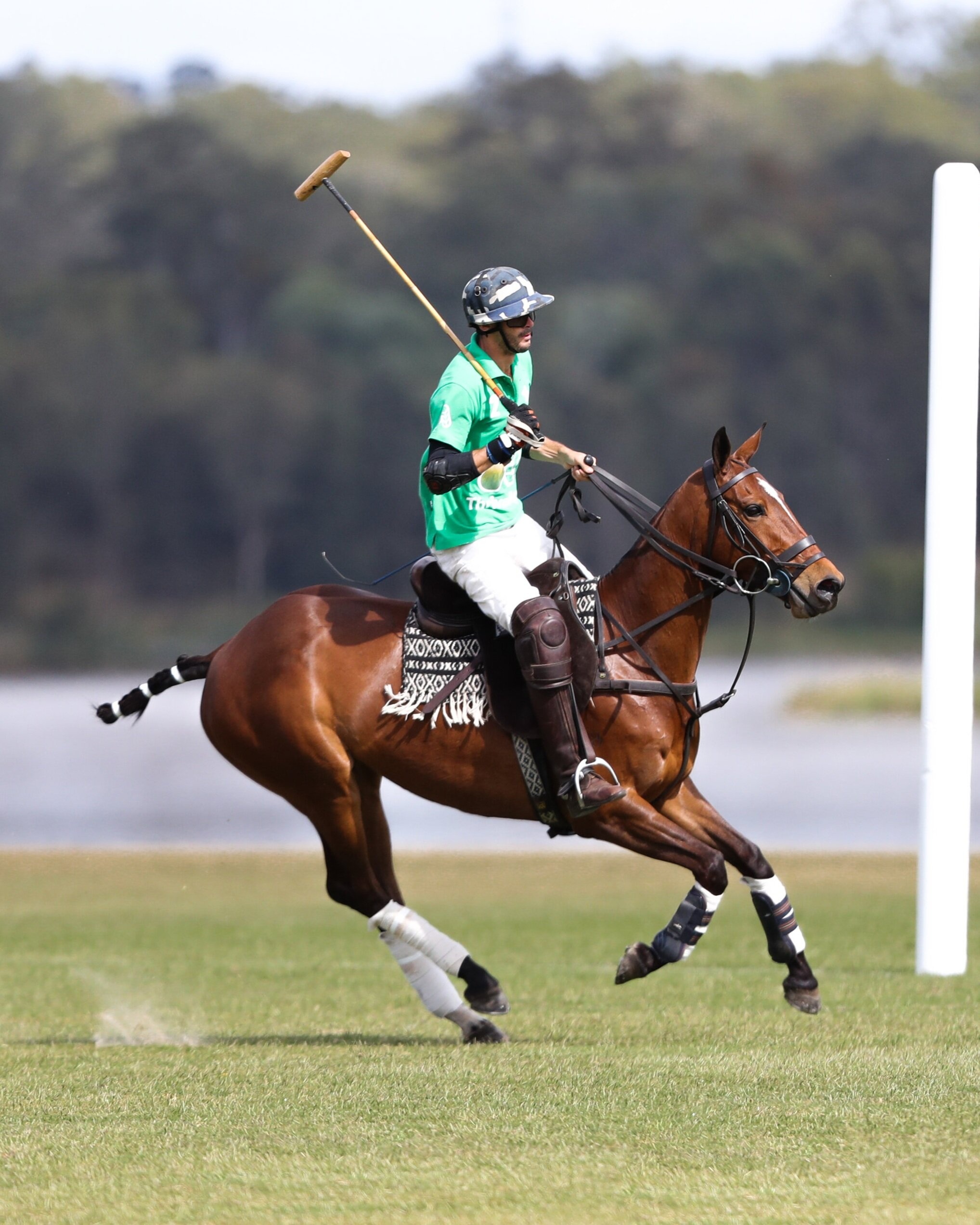 Equestrian Sports: Polo, A horseback ball game, A traditional field sport and one of the world's oldest known team sports. 2040x2550 HD Background.
