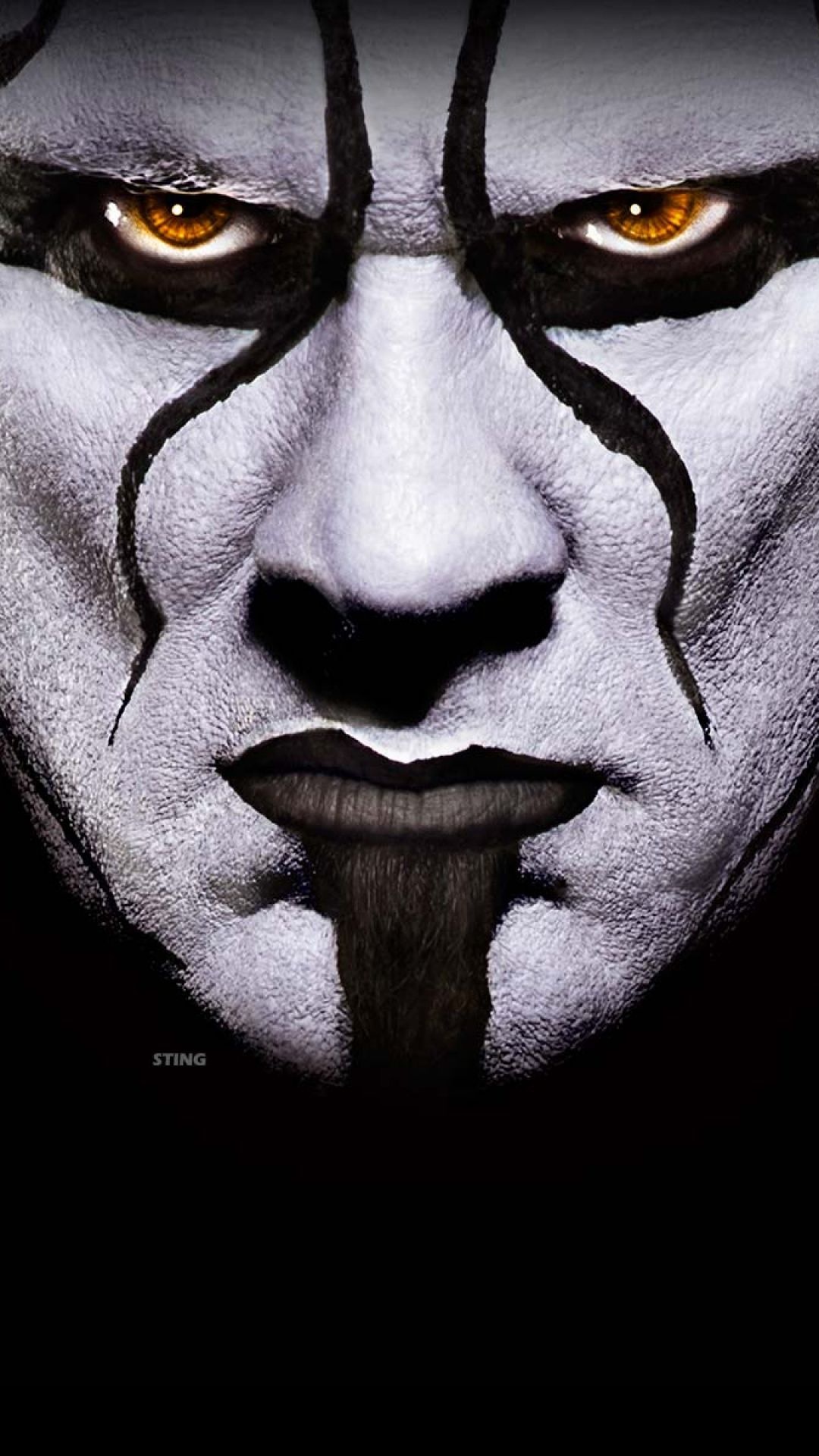 Jeff Hardy, WWE wallpaper, Thrilling events, Wrestling superstar, 1080x1920 Full HD Phone