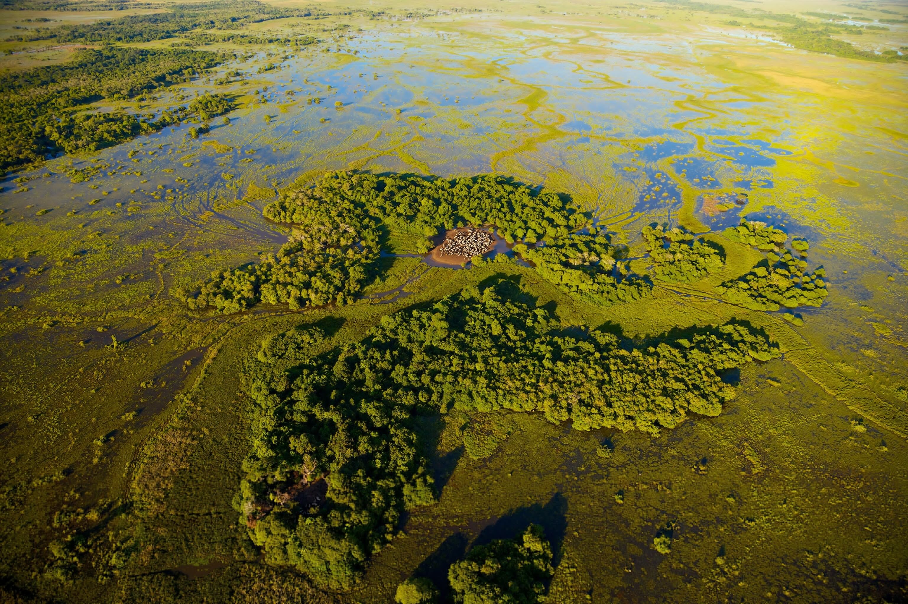 Pantanal Matogrossense, Exploring the wetlands, Nature's bounty, Wildlife encounters, 3080x2050 HD Desktop