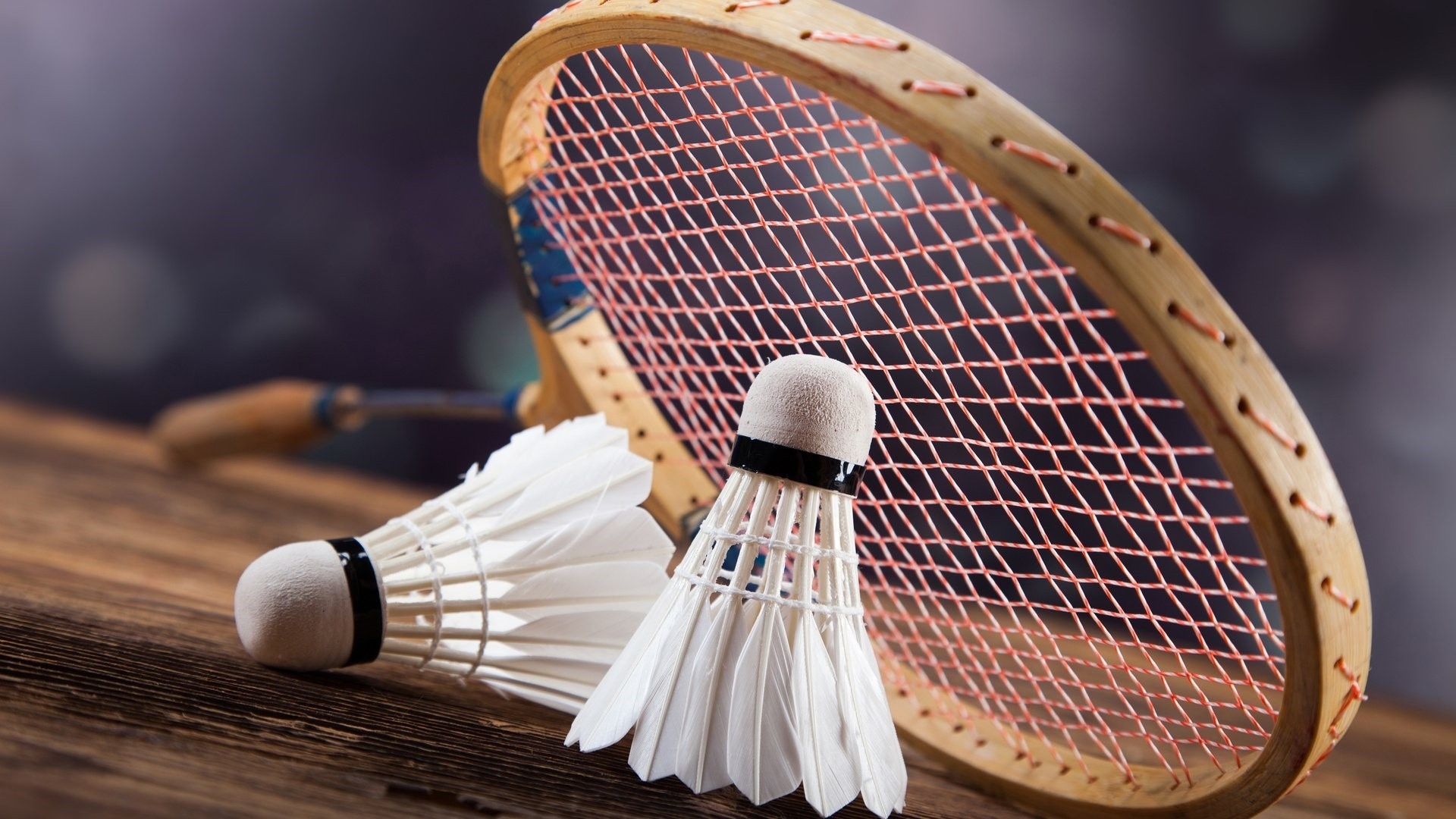 Sporting badminton wallpapers, Exciting matches, Competitive energy, Sports visuals, 1920x1080 Full HD Desktop