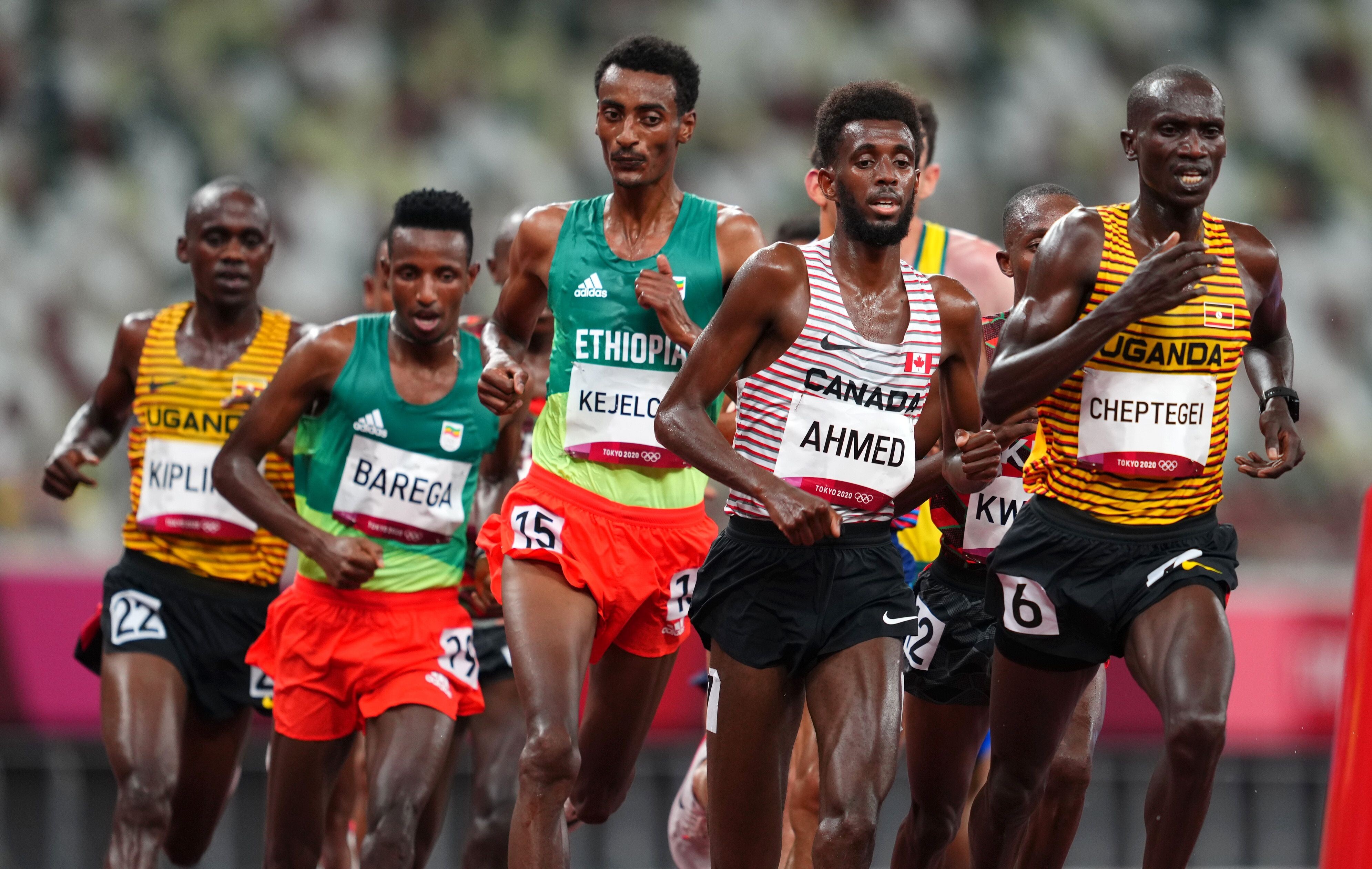 Mohammed Ahmed, Track and field star, Middle-distance race, Endurance training, 3990x2520 4K Desktop