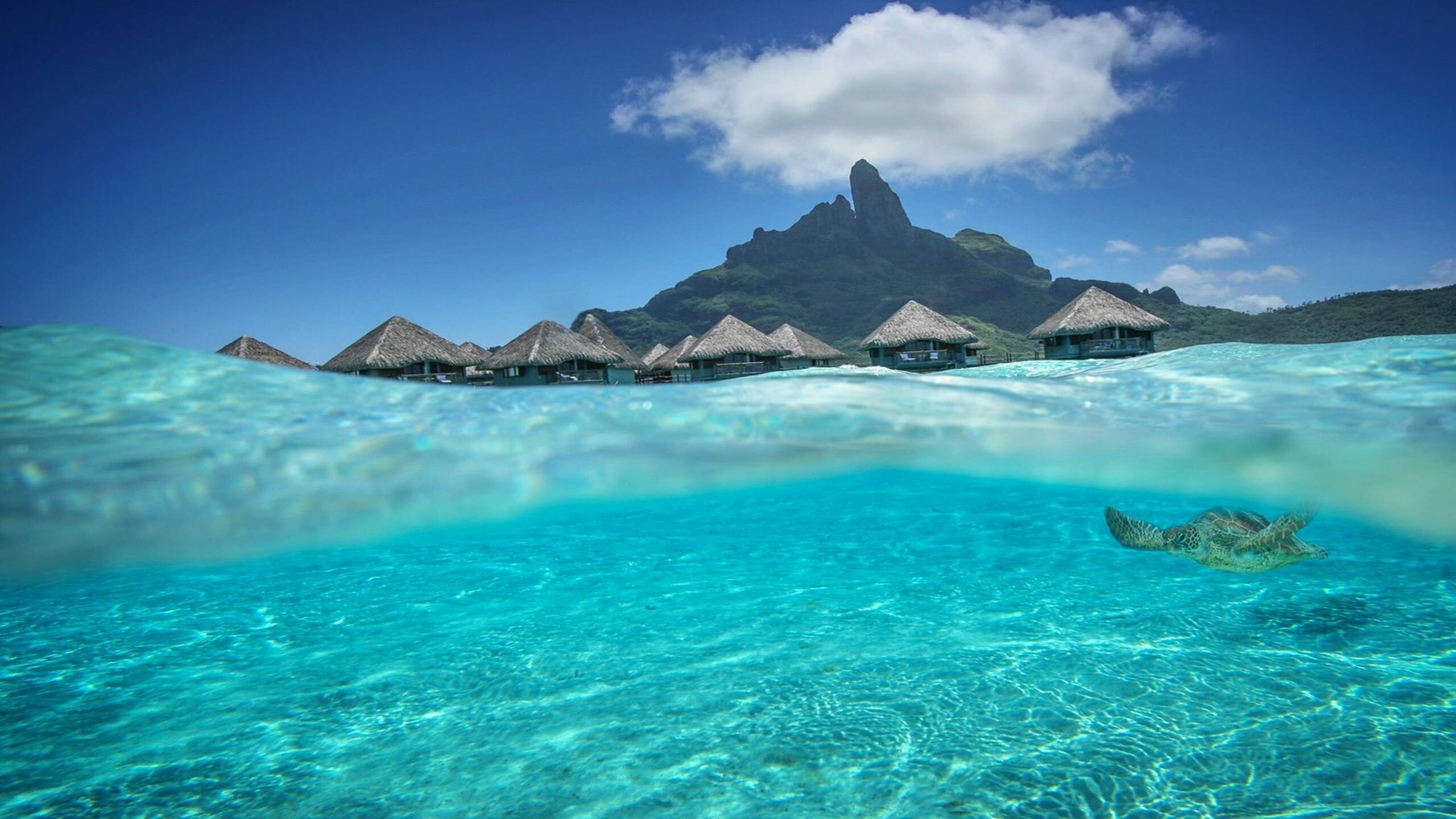 Tahiti: Bora Bora, An island group in the Leeward Islands. 2560x1440 HD Background.
